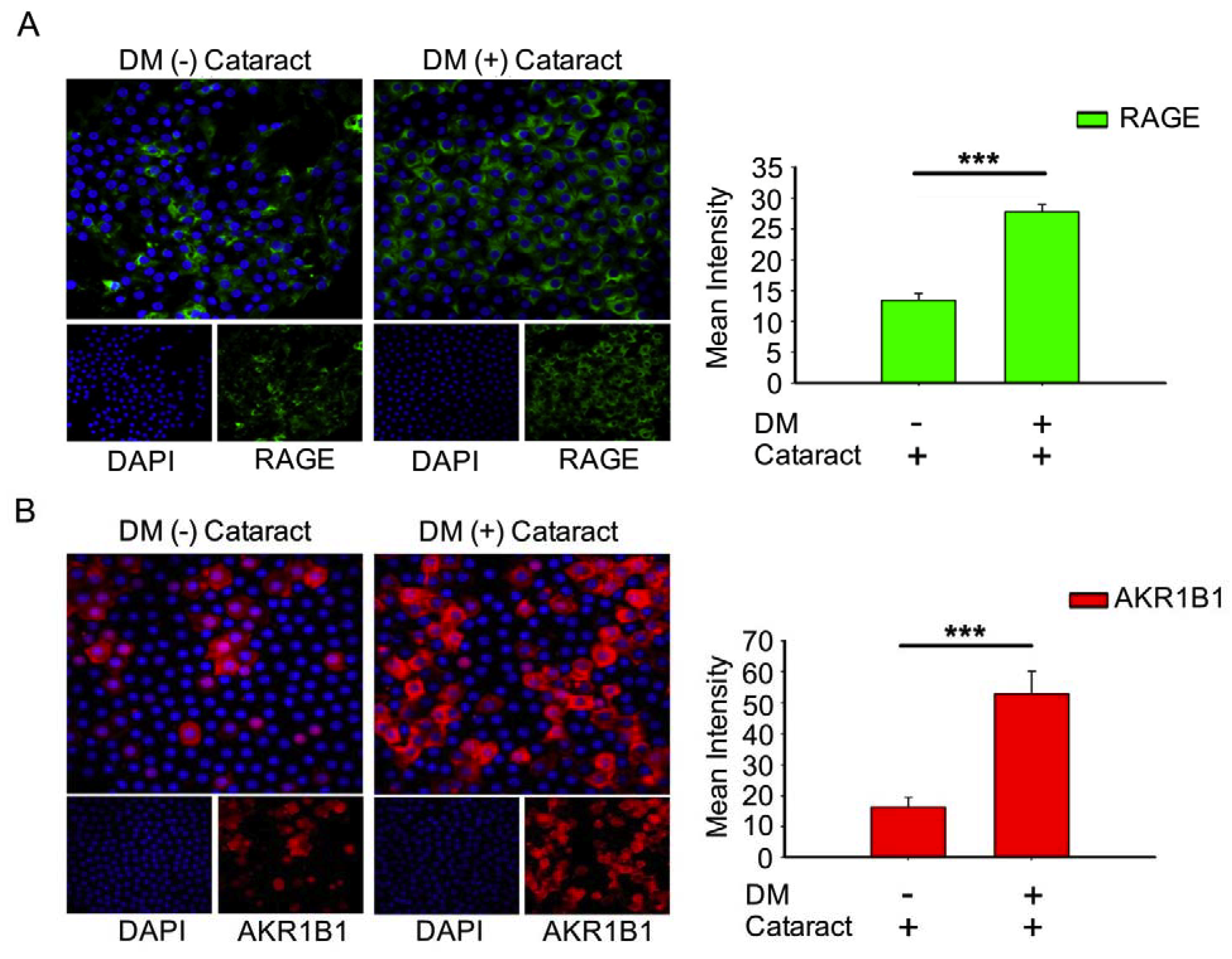 Antioxidants 09 00273 g002 Antioxidants 09 00273 g002