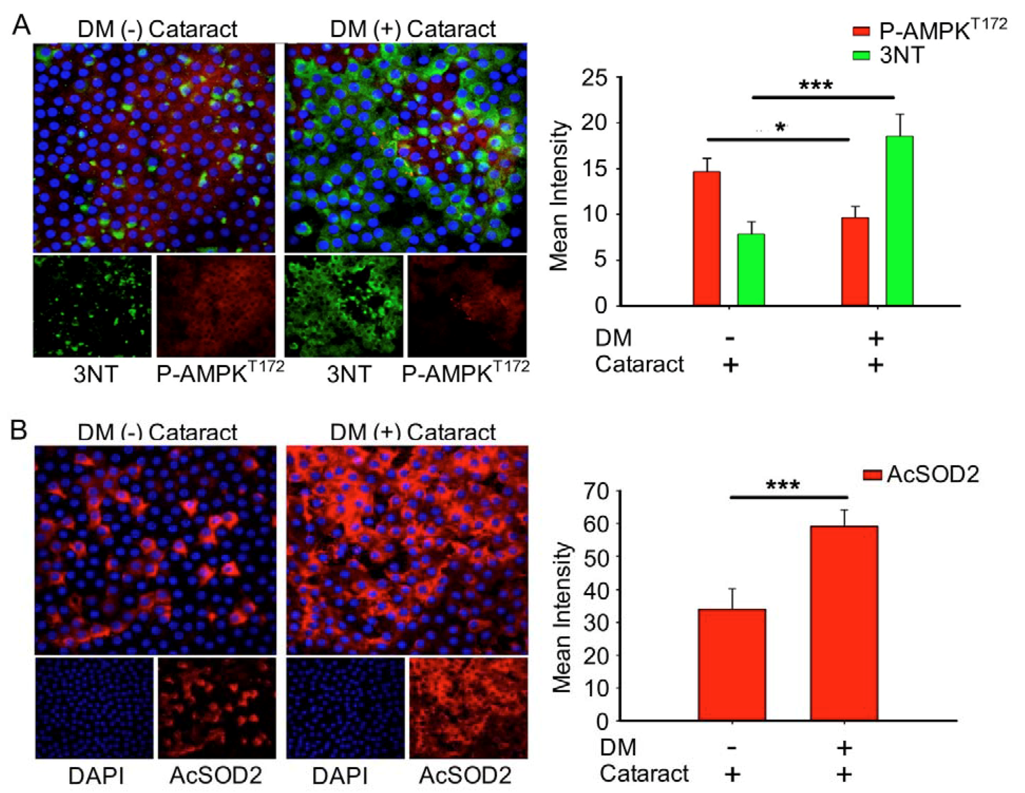 Antioxidants 09 00273 g003 Antioxidants 09 00273 g003