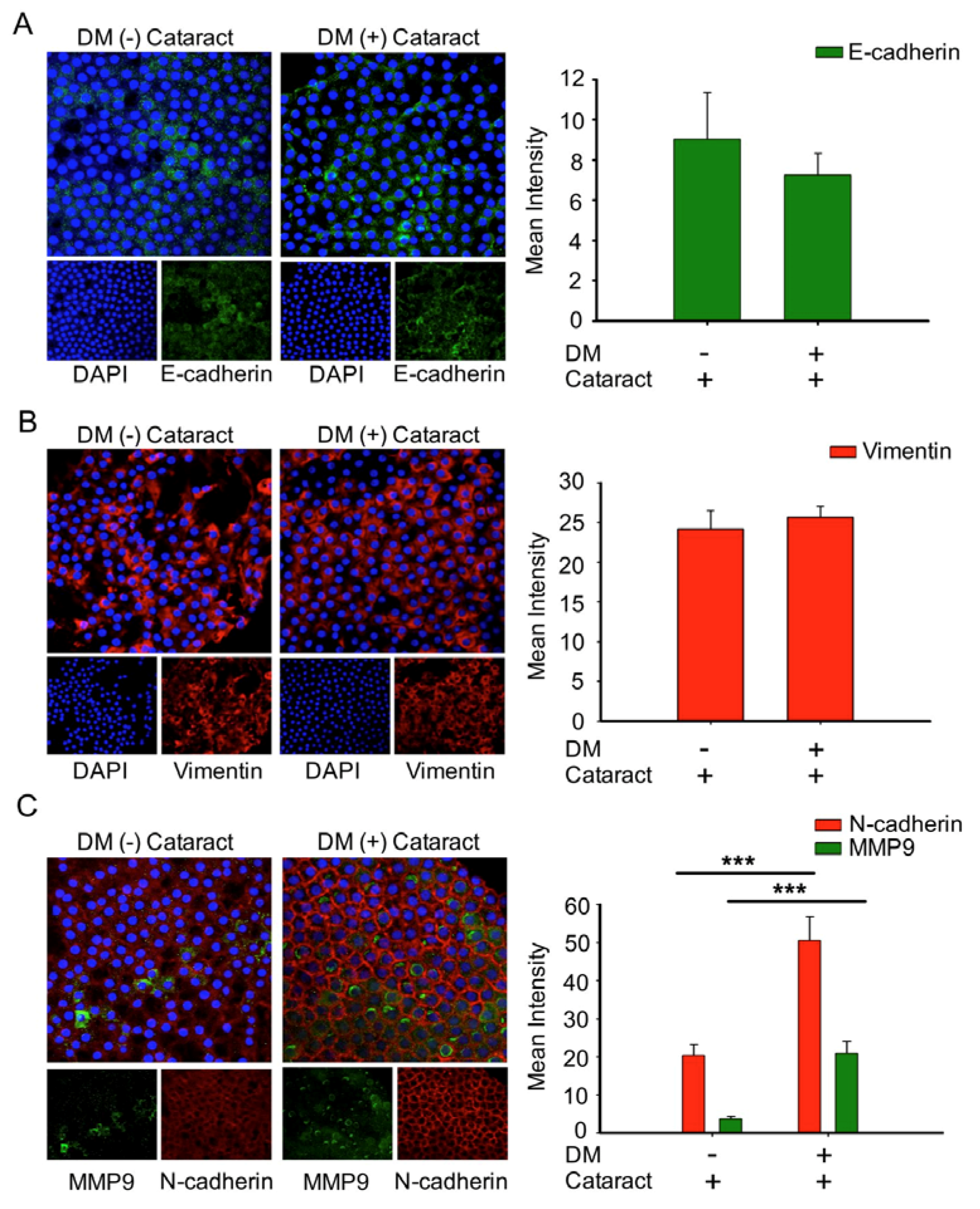 Antioxidants 09 00273 g004 Antioxidants 09 00273 g004