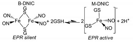 Antioxidants 09 00276 i001