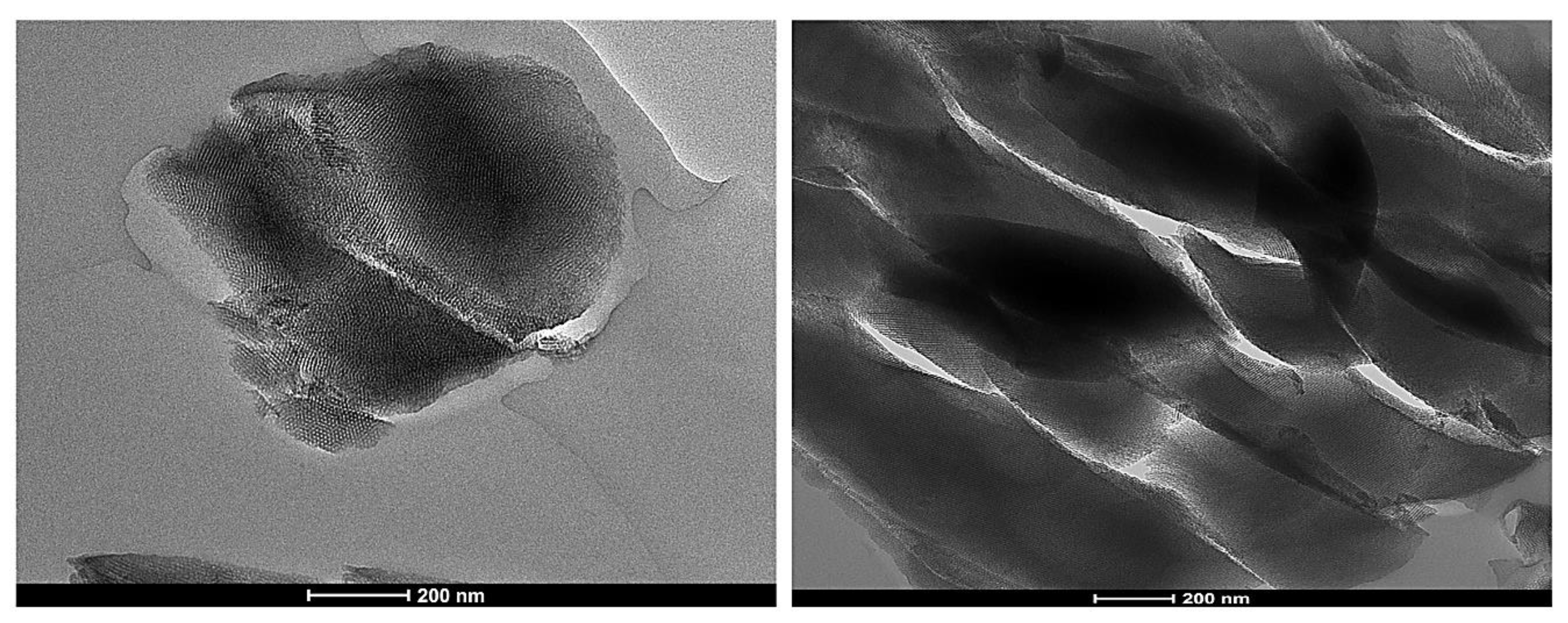 Antioxidants 09 00278 g011 Antioxidants 09 00278 g011