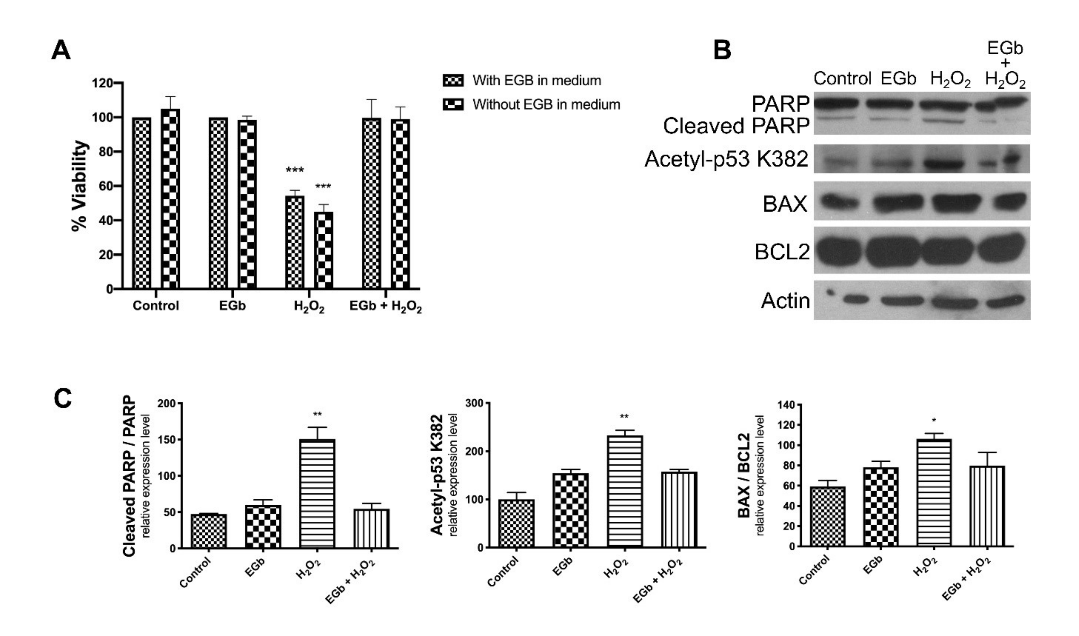 Antioxidants 09 00279 g005 Antioxidants 09 00279 g005
