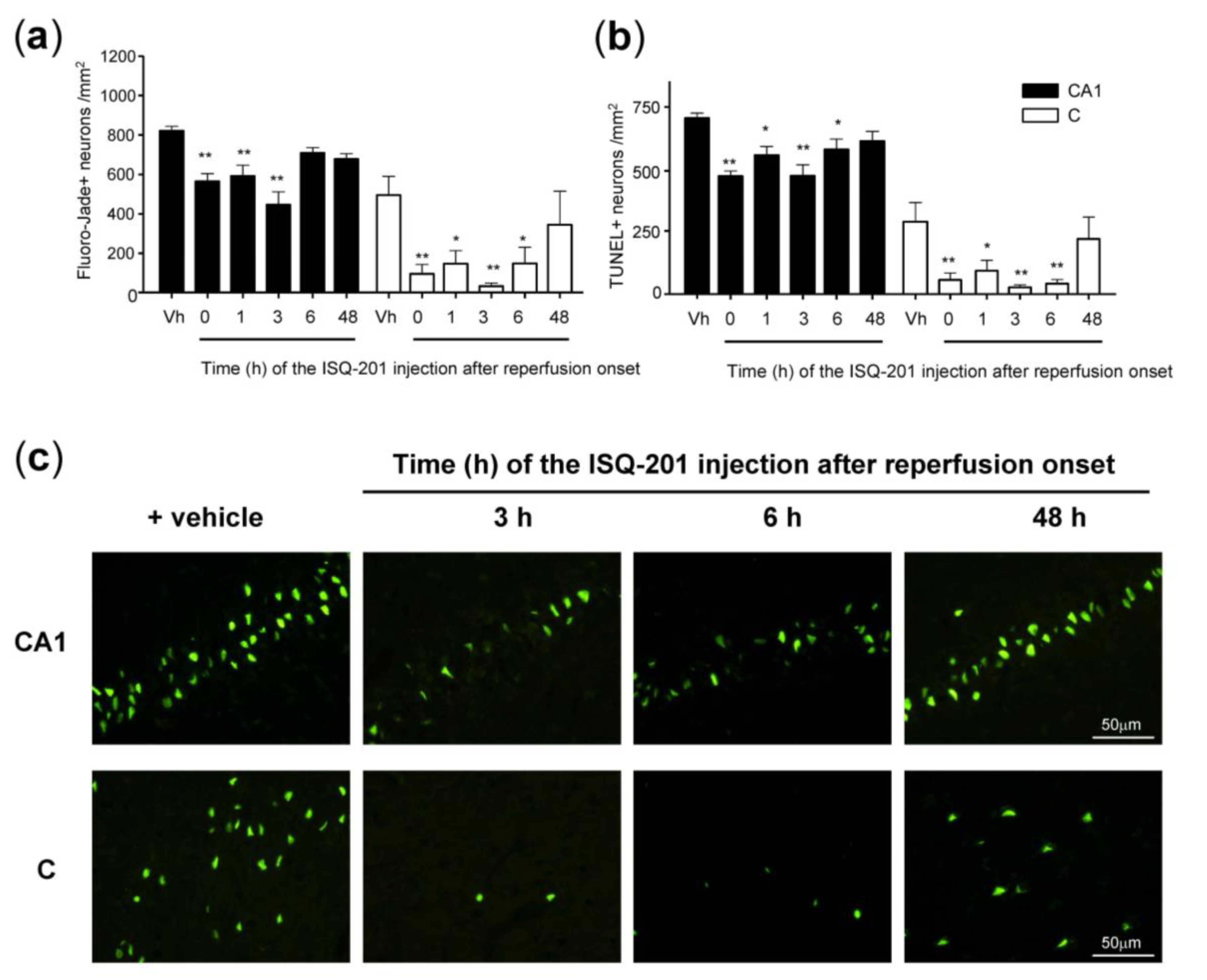 Antioxidants 09 00291 g003