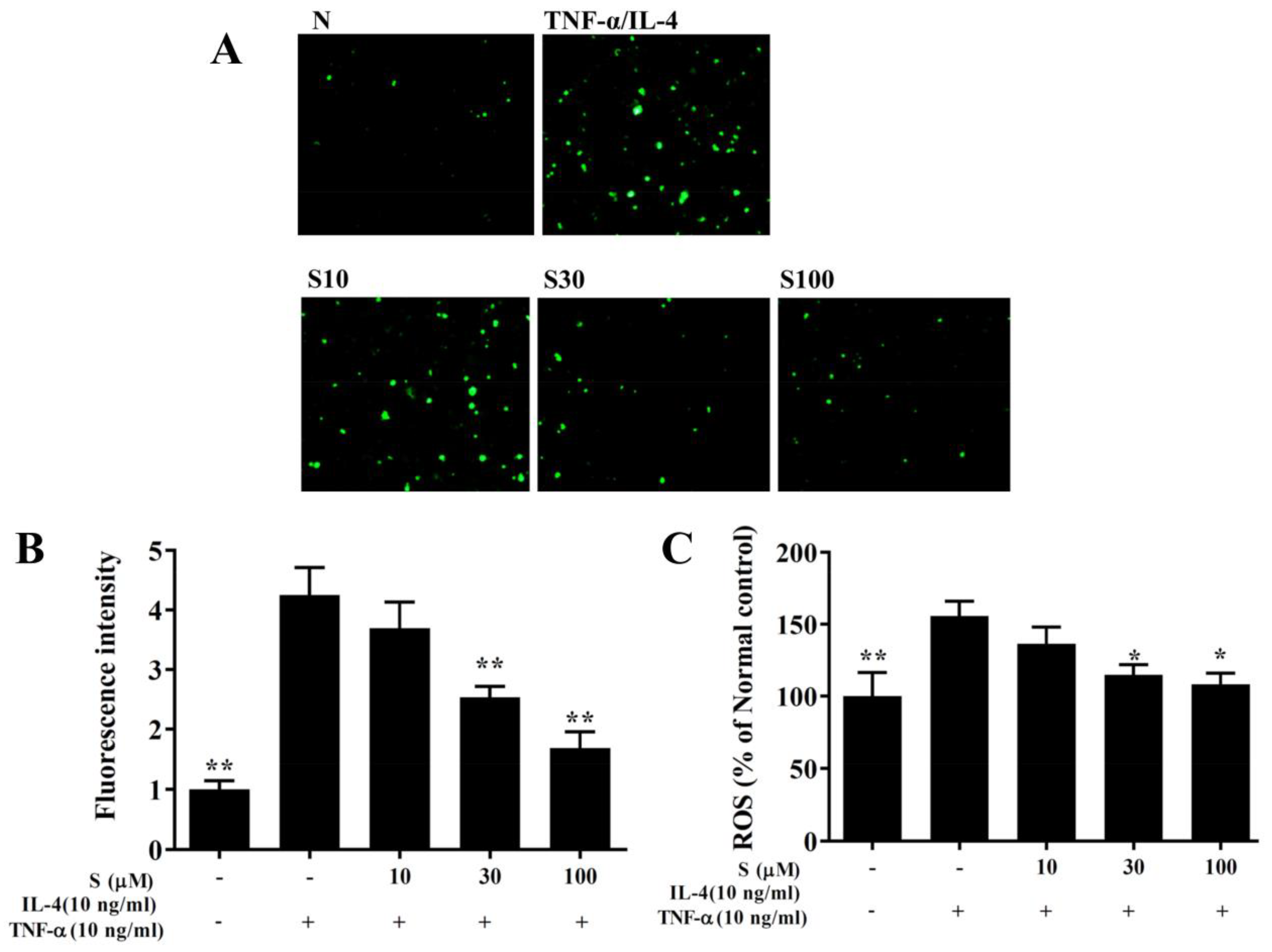 Antioxidants 09 00295 g009 Antioxidants 09 00295 g009