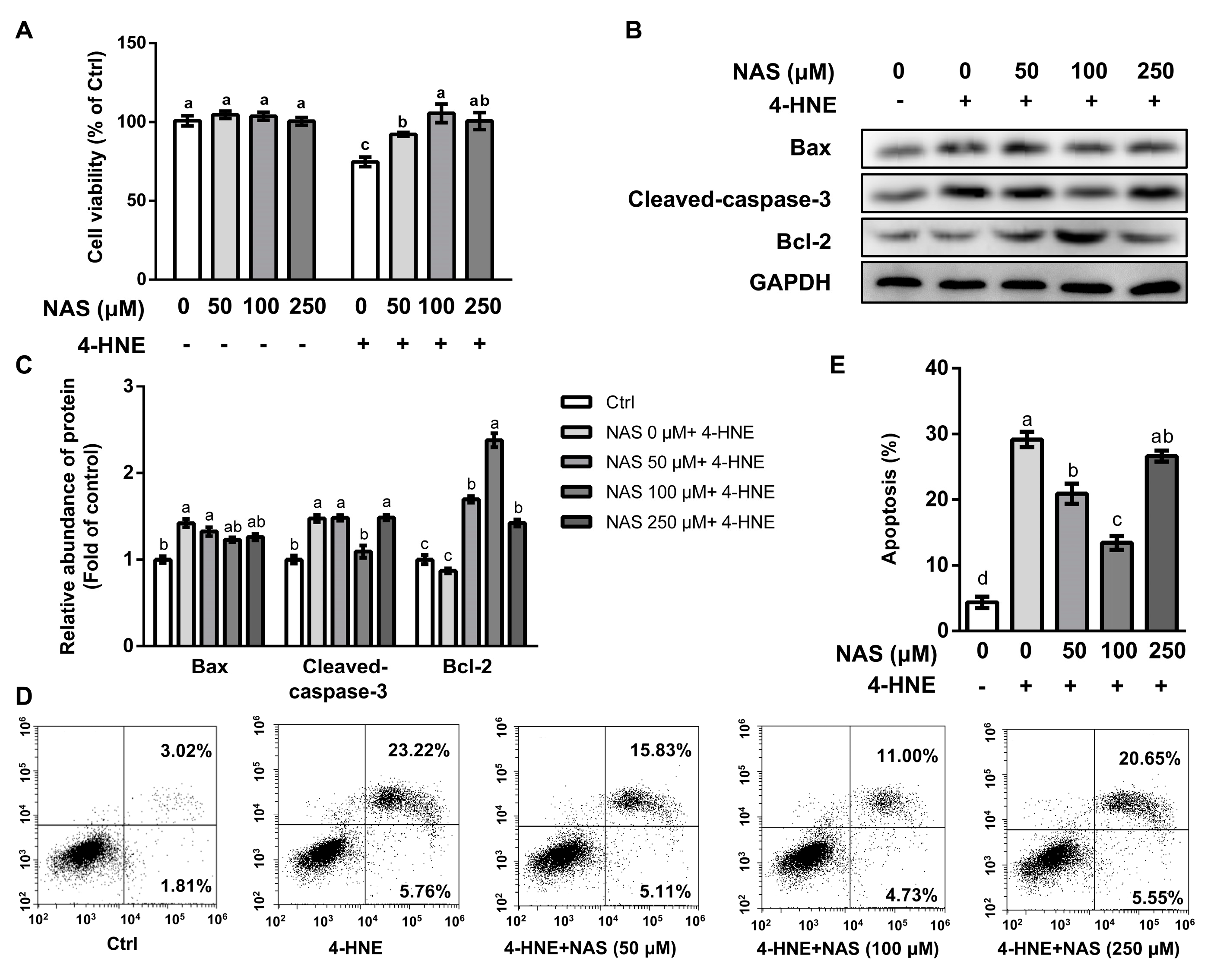 Antioxidants 09 00303 g001 Antioxidants 09 00303 g001