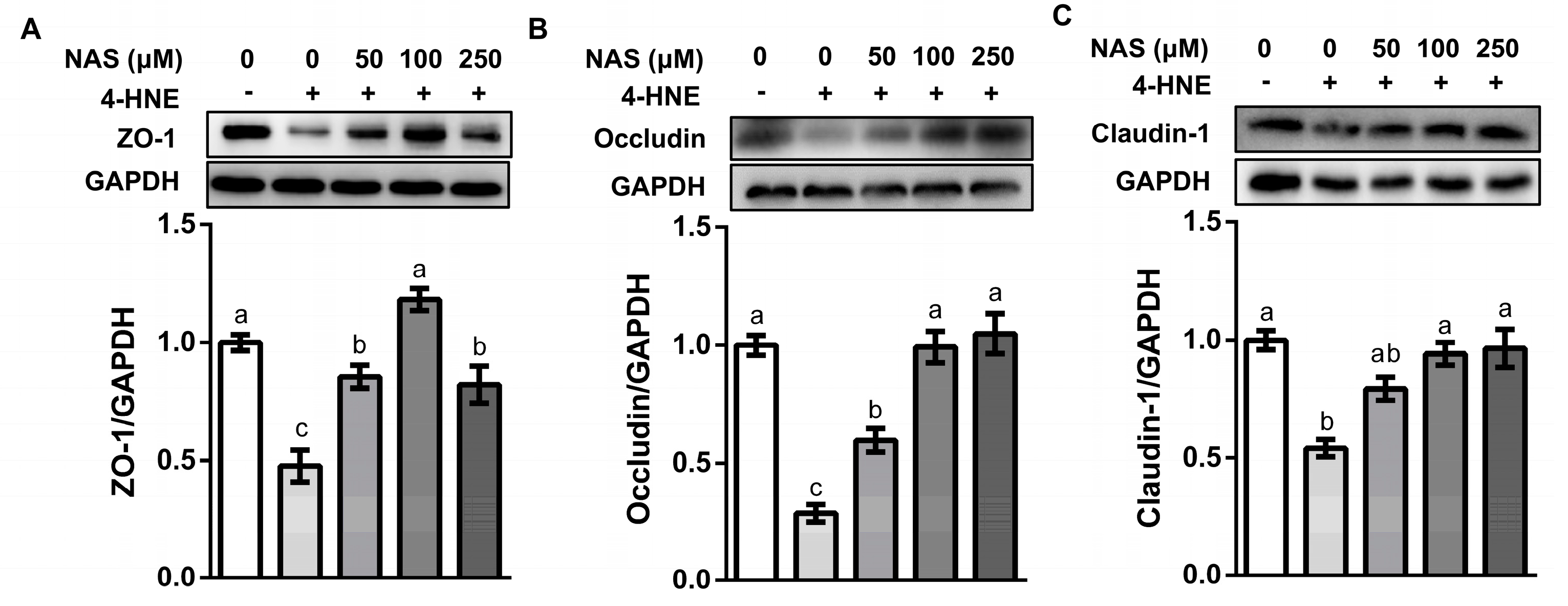 Antioxidants 09 00303 g003 Antioxidants 09 00303 g003