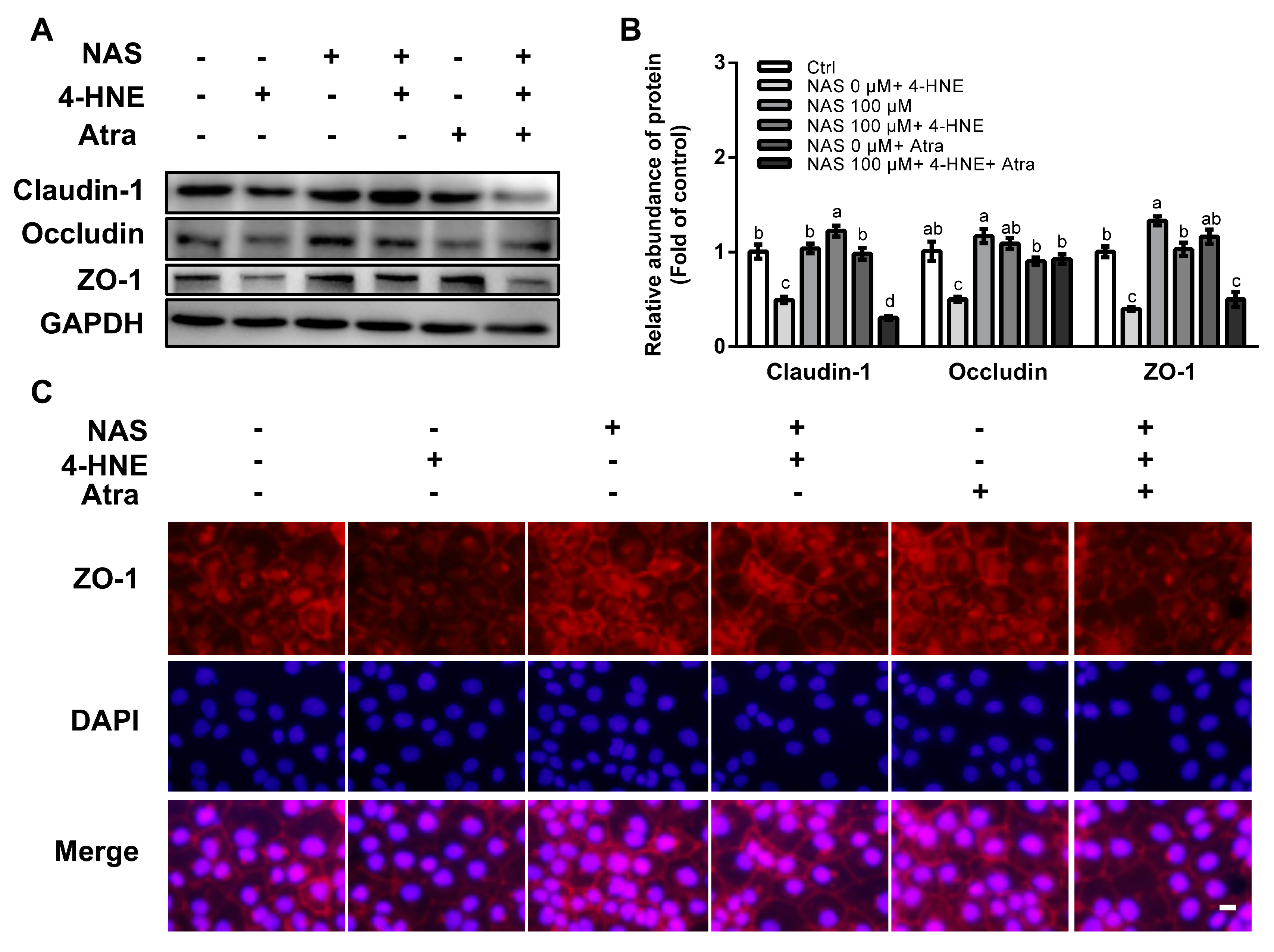 Antioxidants 09 00303 g006 Antioxidants 09 00303 g006