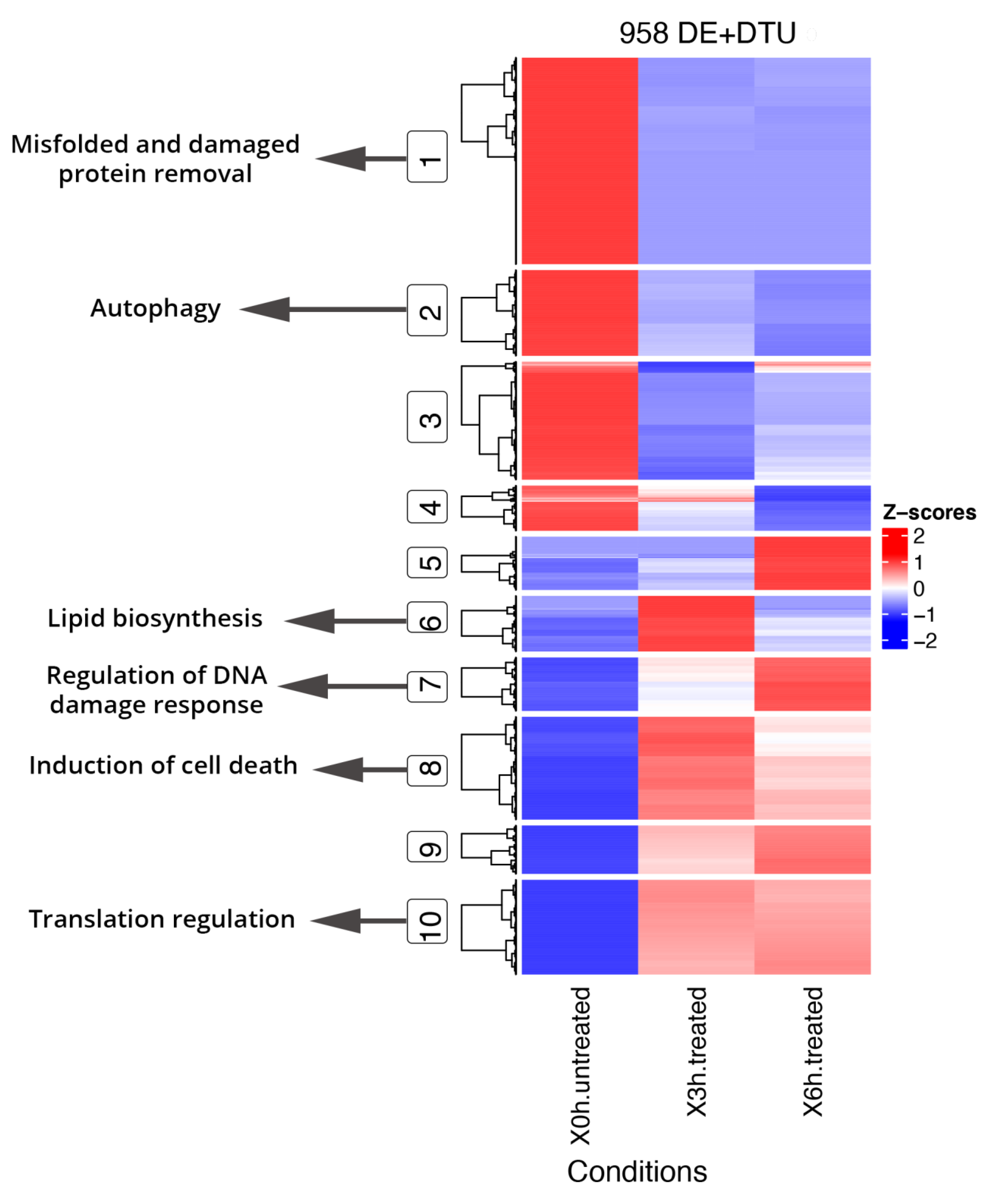 Antioxidants 09 00307 g005