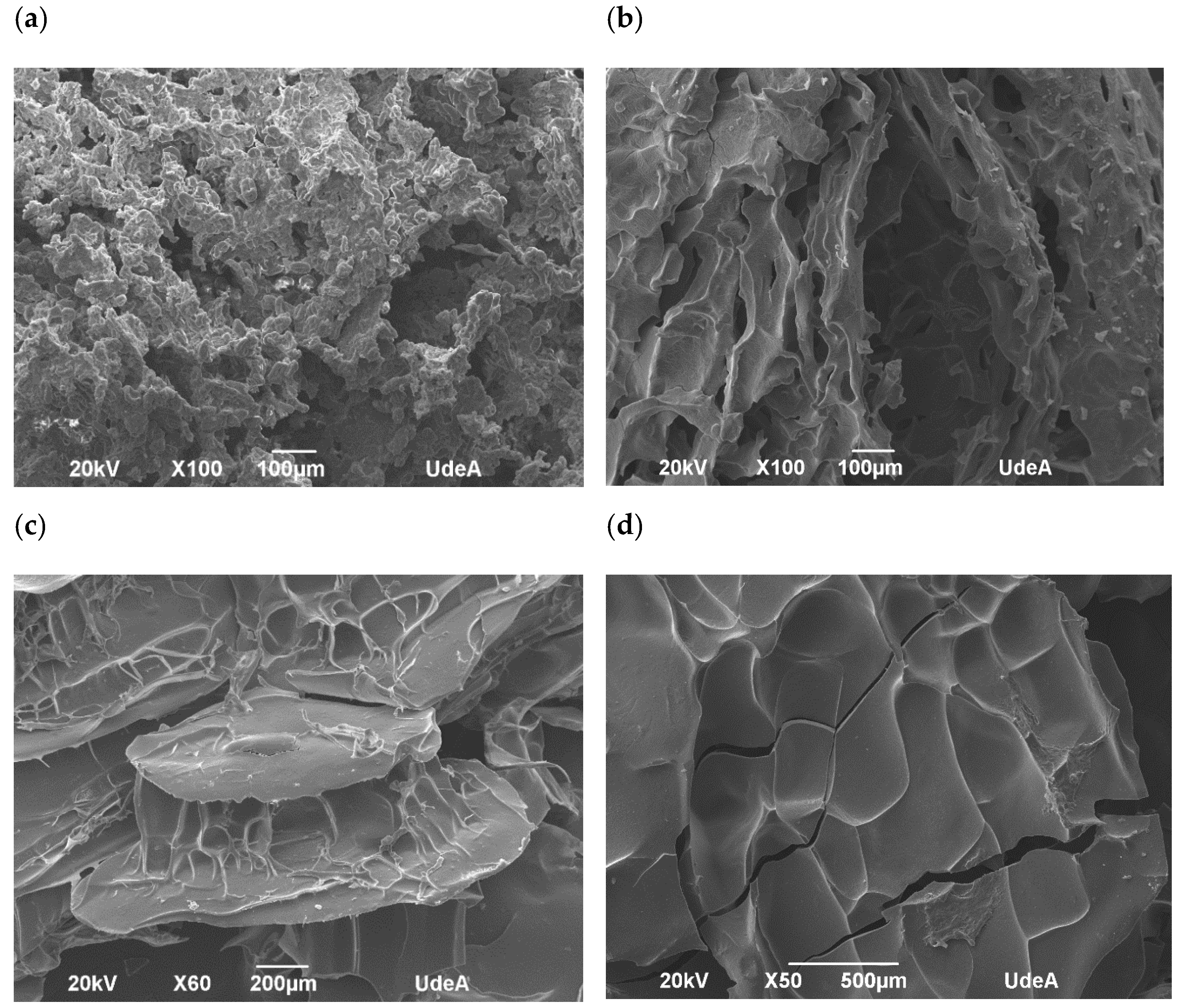 Antioxidants 09 00310 g004