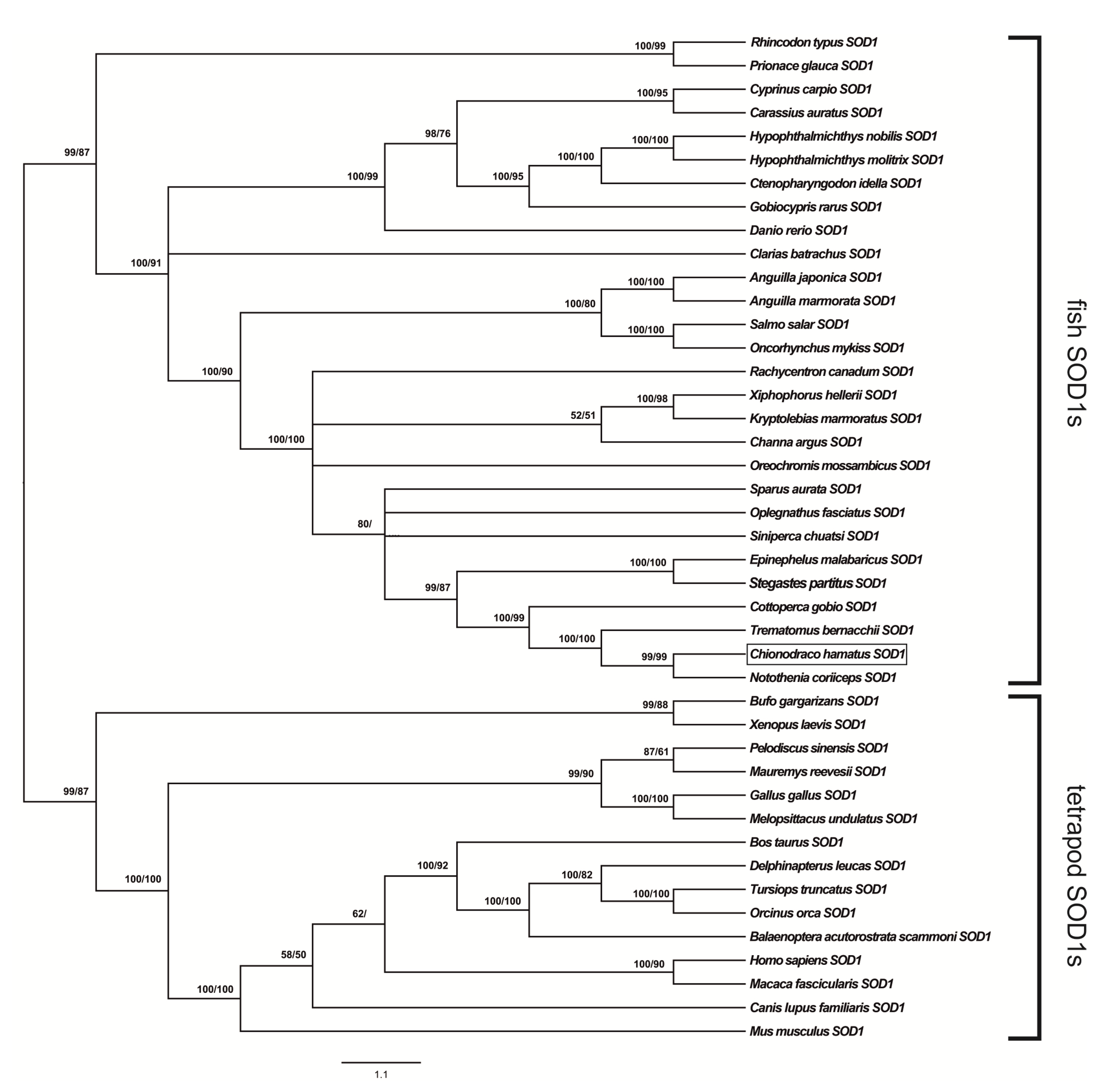 Antioxidants 09 00325 g001 Antioxidants 09 00325 g001