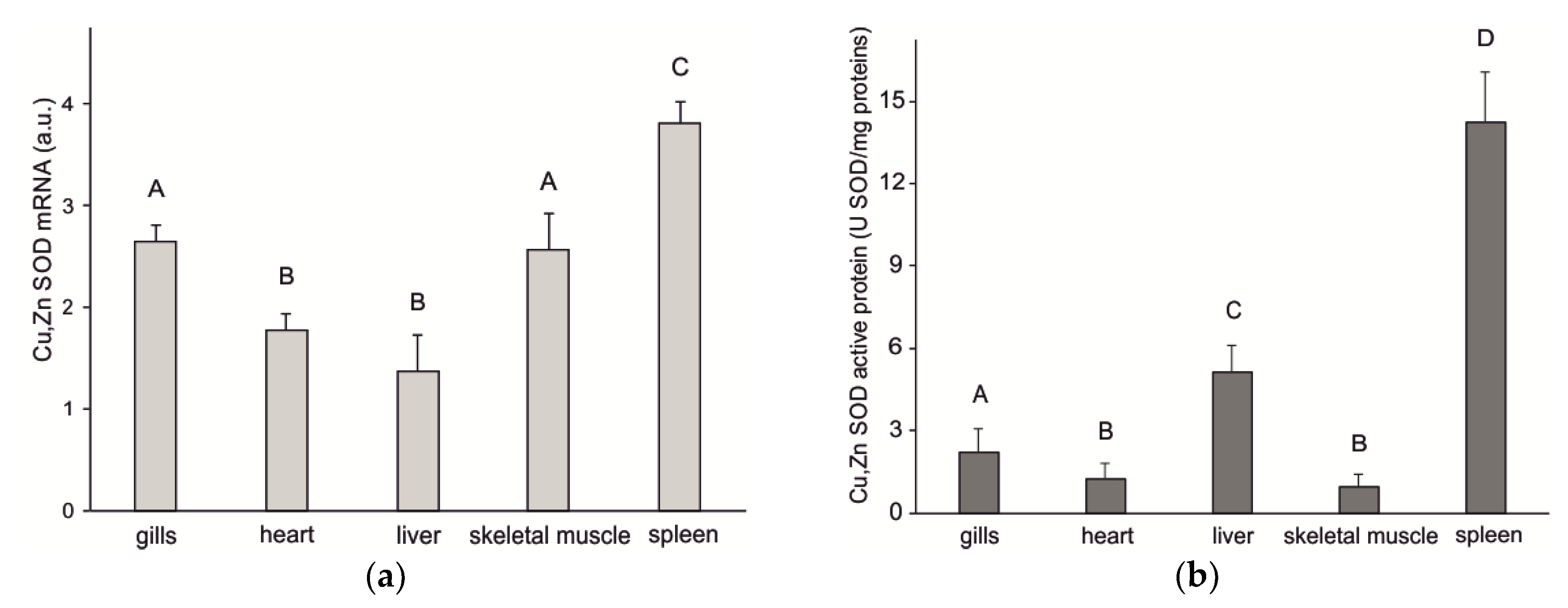 Antioxidants Free Full Text Copper Zinc Superoxide Dismutase From The Crocodile Icefish Chionodraco Hamatus Antioxidant Defense At Constant Sub Zero Temperature Html Antioxidants Free Full Text Copper Zinc Superoxide Dismutase From The Crocodile Icefish Chionodraco Hamatus Antioxidant Defense At Constant Sub Zero Temperature Html