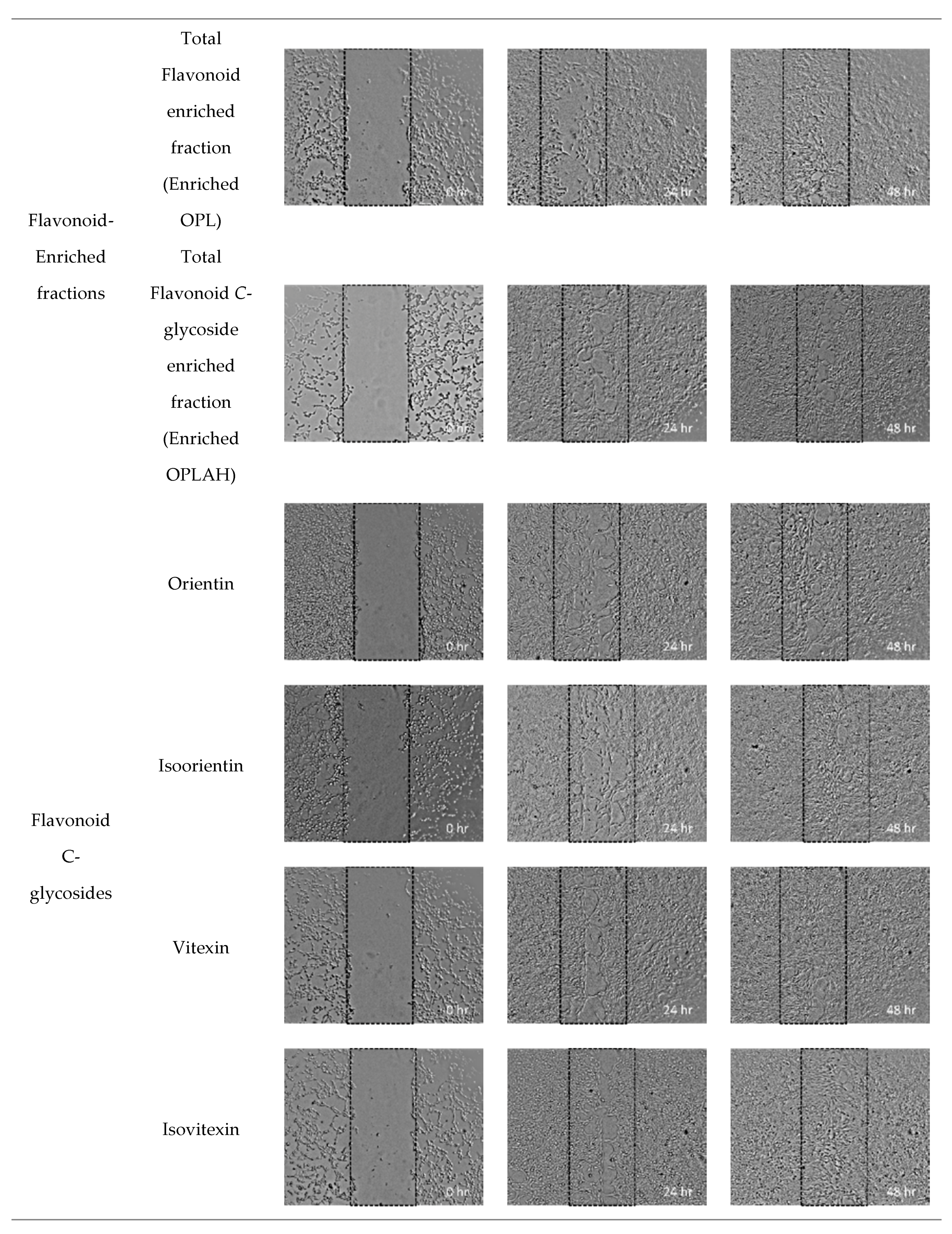 Antioxidants 09 00326 g007b Antioxidants 09 00326 g007b