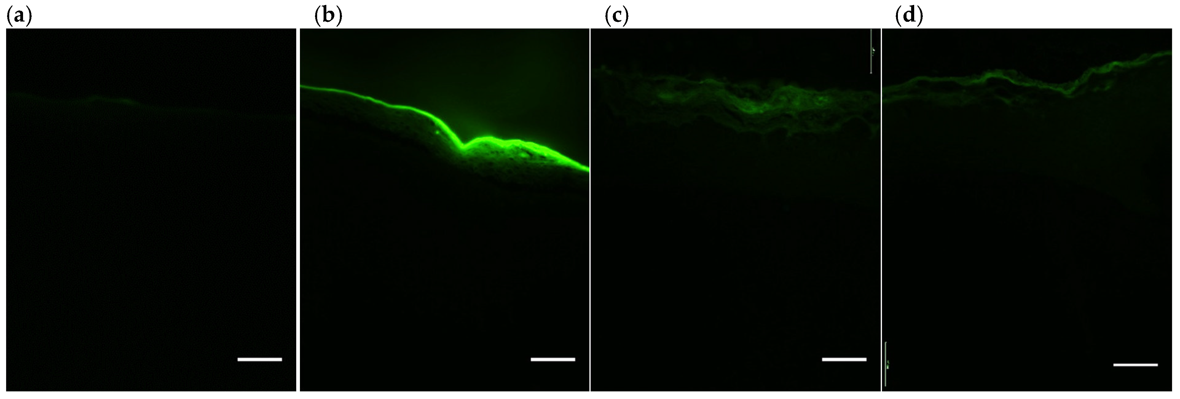 Antioxidants 09 00328 g006 Antioxidants 09 00328 g006