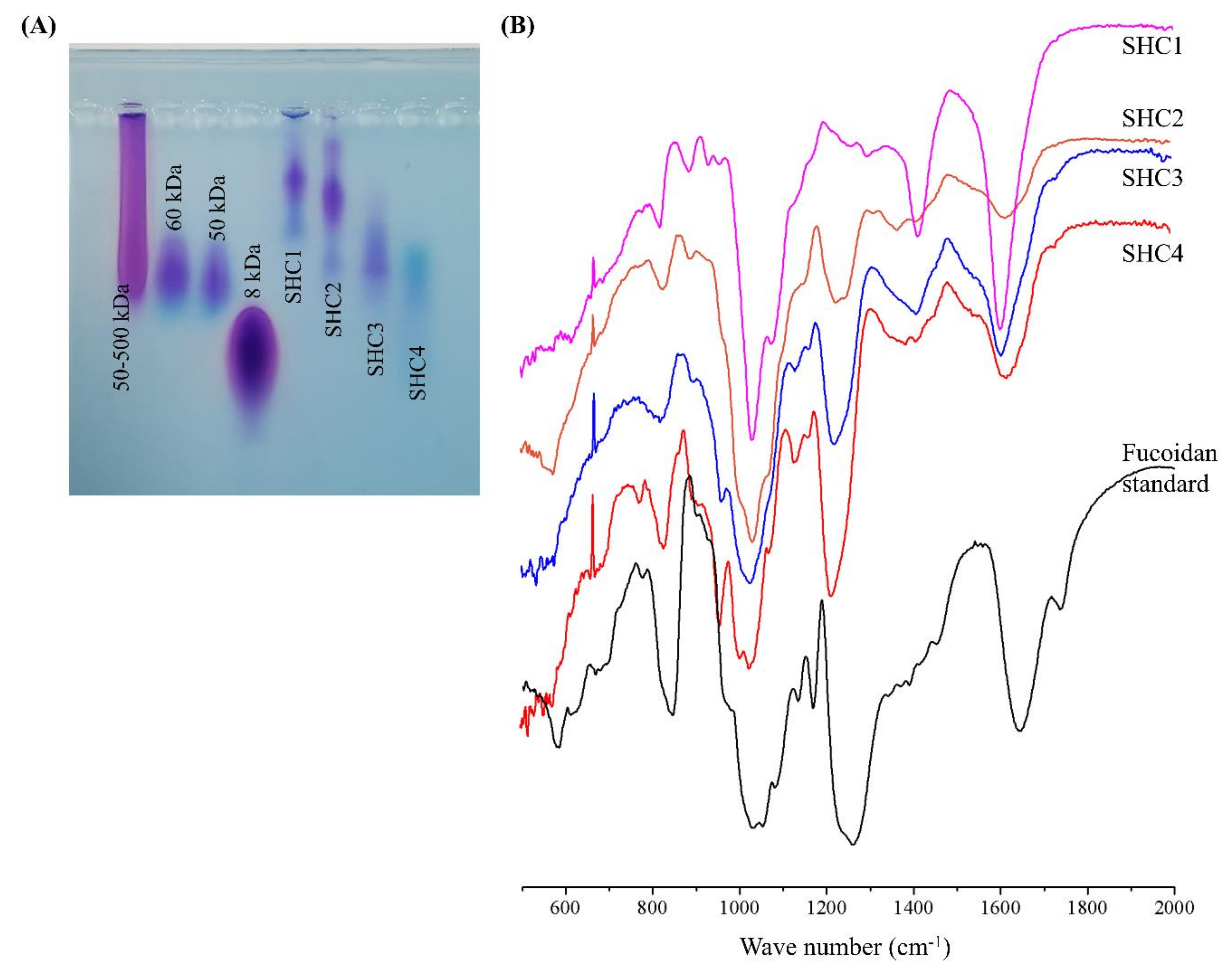Antioxidants 09 00340 g002