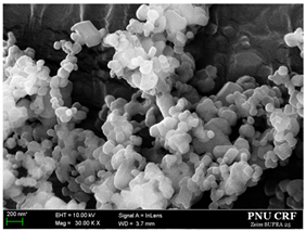 Antioxidants 09 00342 i001 Antioxidants 09 00342 i001