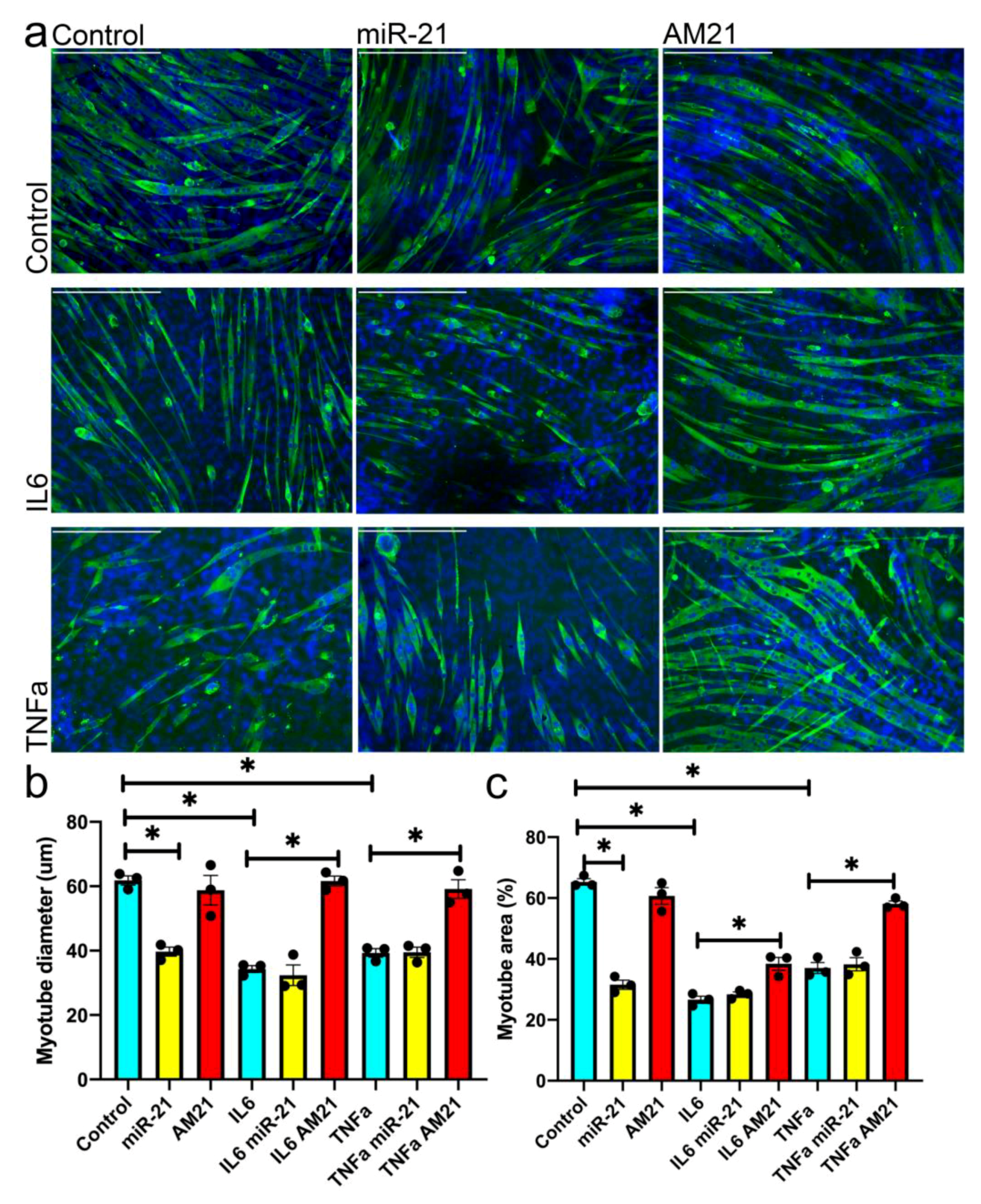 Antioxidants 09 00345 g004 Antioxidants 09 00345 g004