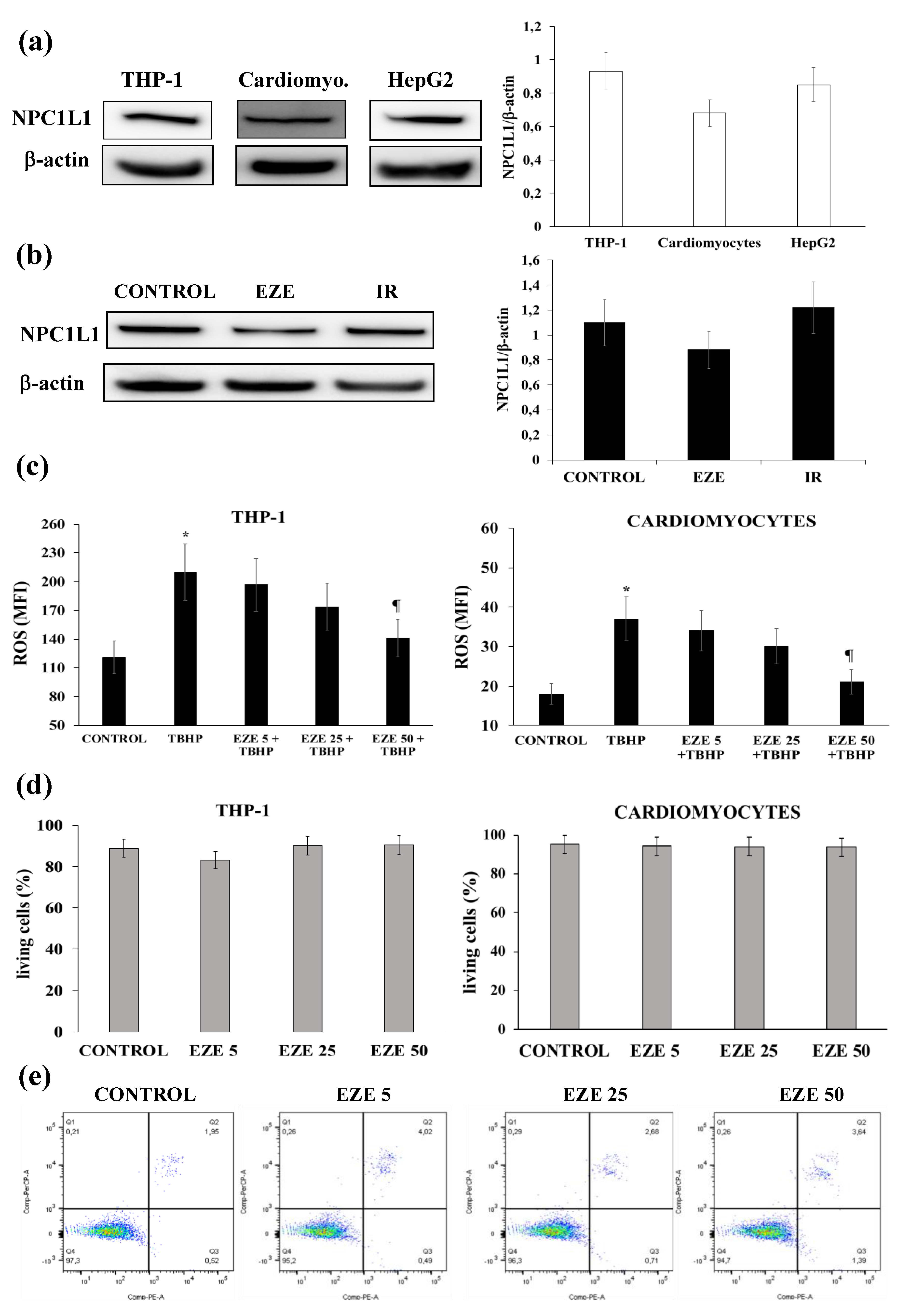 Antioxidants 09 00349 g001 Antioxidants 09 00349 g001