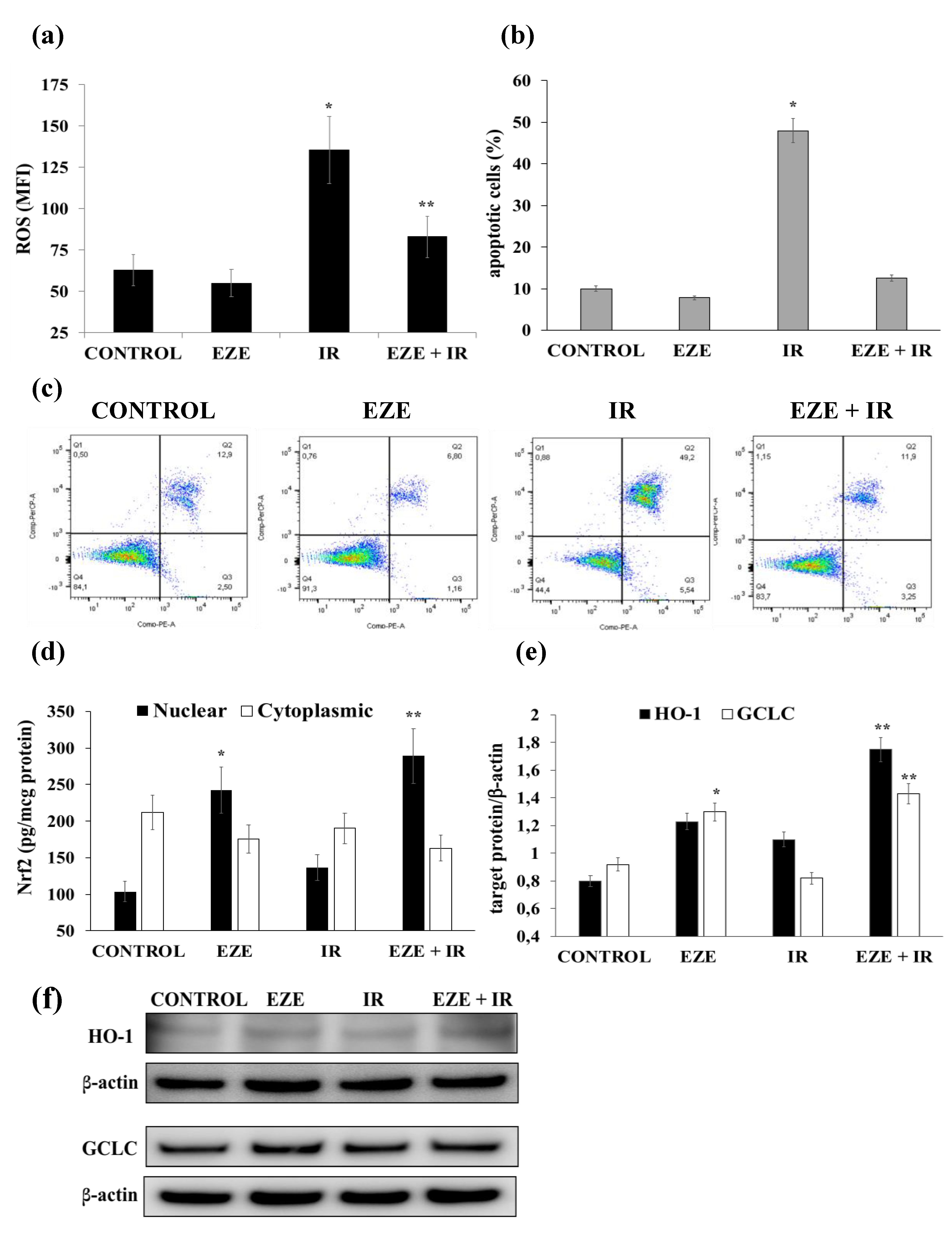 Antioxidants 09 00349 g007 Antioxidants 09 00349 g007
