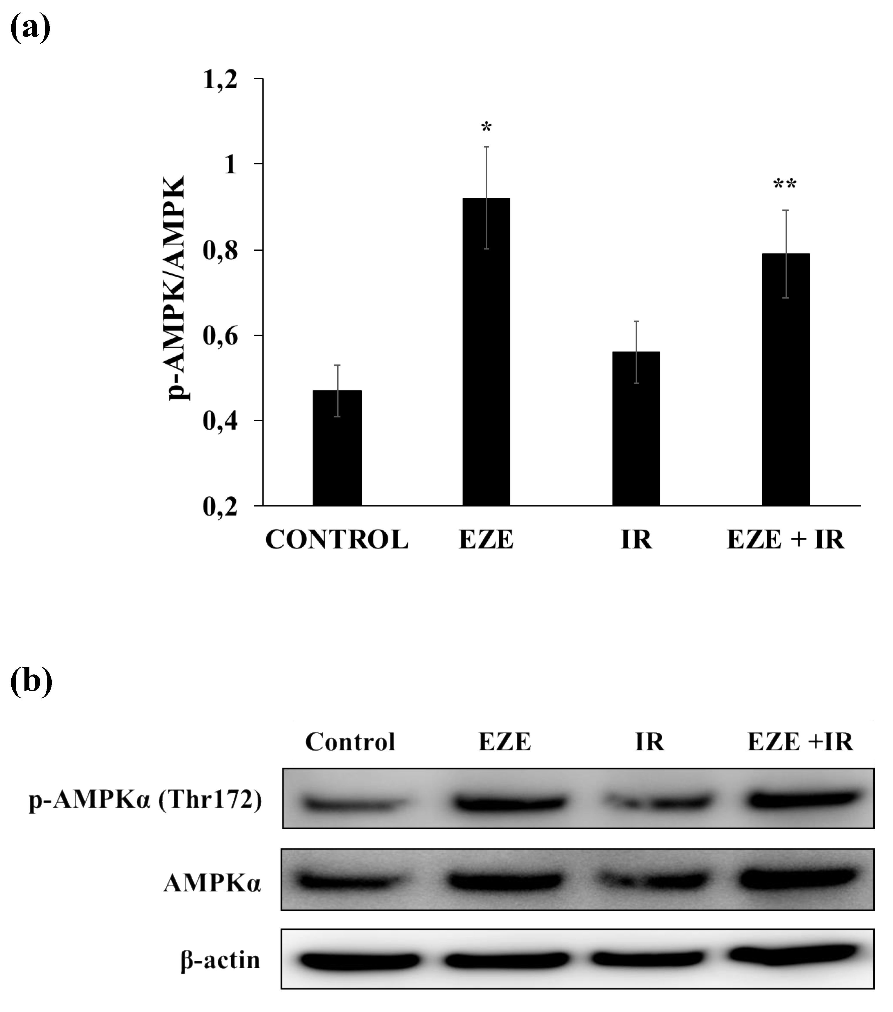 Antioxidants 09 00349 g008 Antioxidants 09 00349 g008