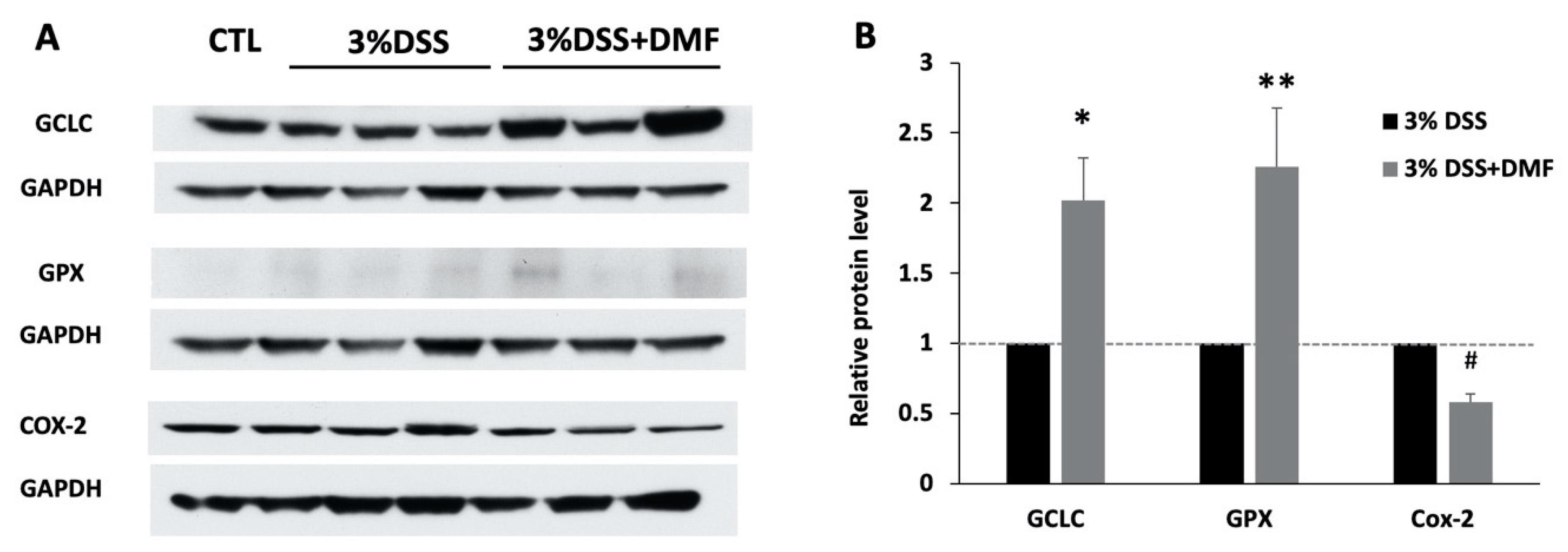 Antioxidants 09 00354 g005 Antioxidants 09 00354 g005