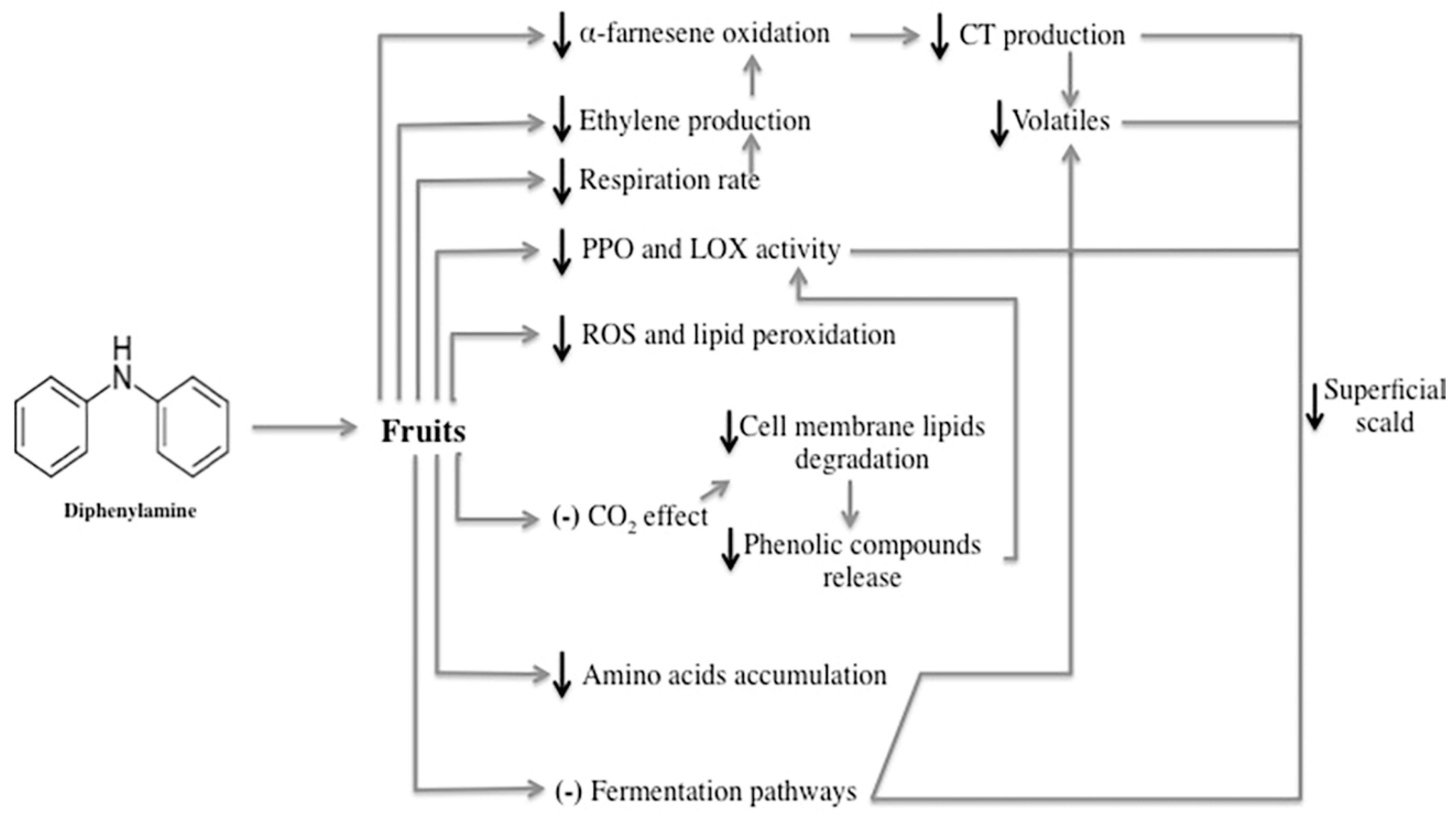 Antioxidants 09 00356 g003 Antioxidants 09 00356 g003