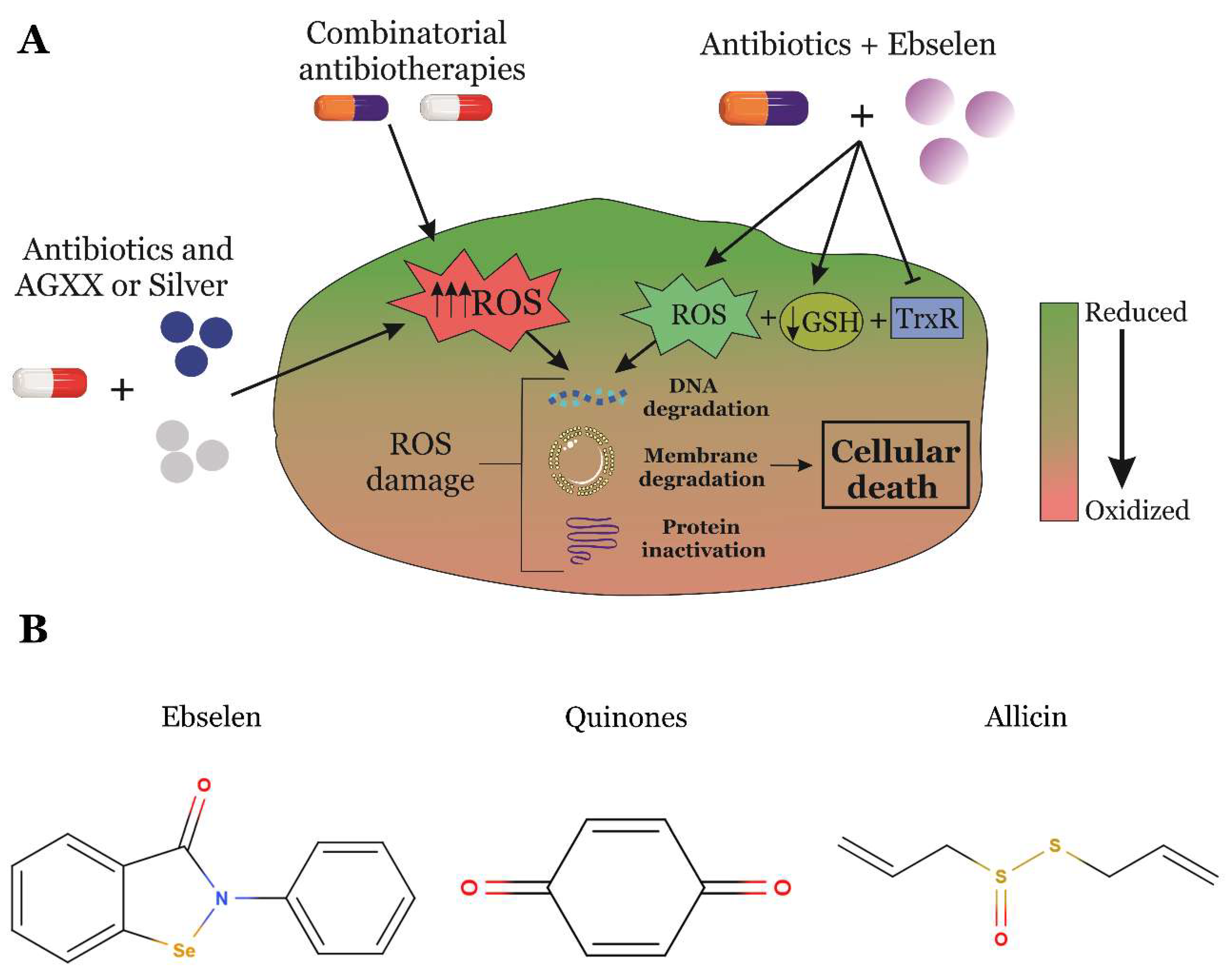 Antioxidants 09 00361 g004 Antioxidants 09 00361 g004