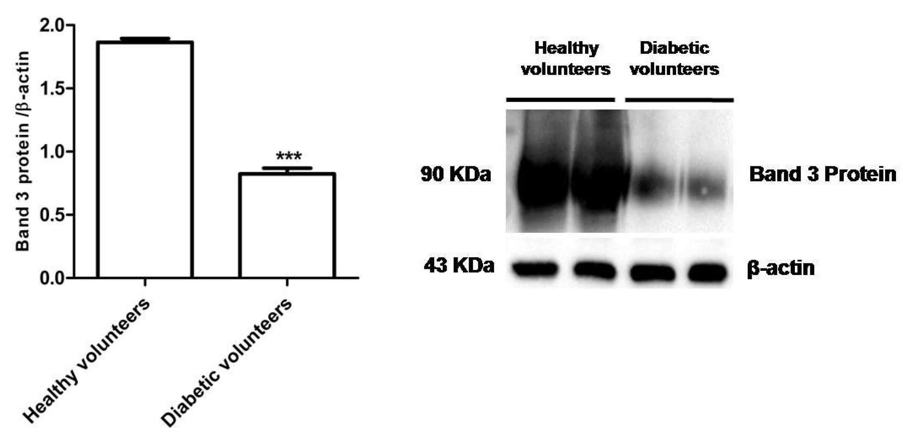 Antioxidants 09 00365 g004