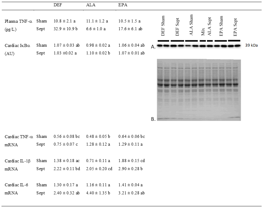 Antioxidants 09 00371 g005