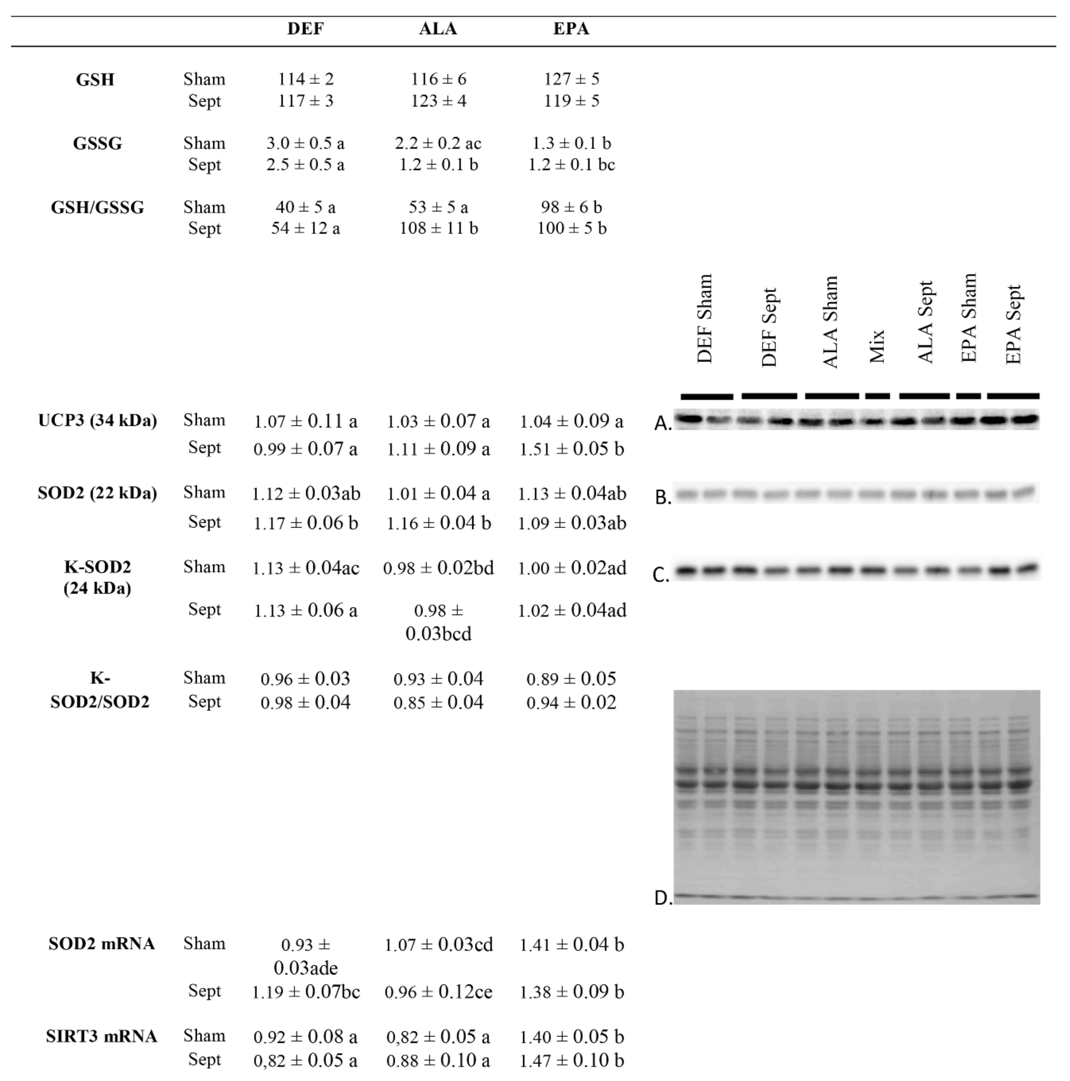 Antioxidants 09 00371 g006