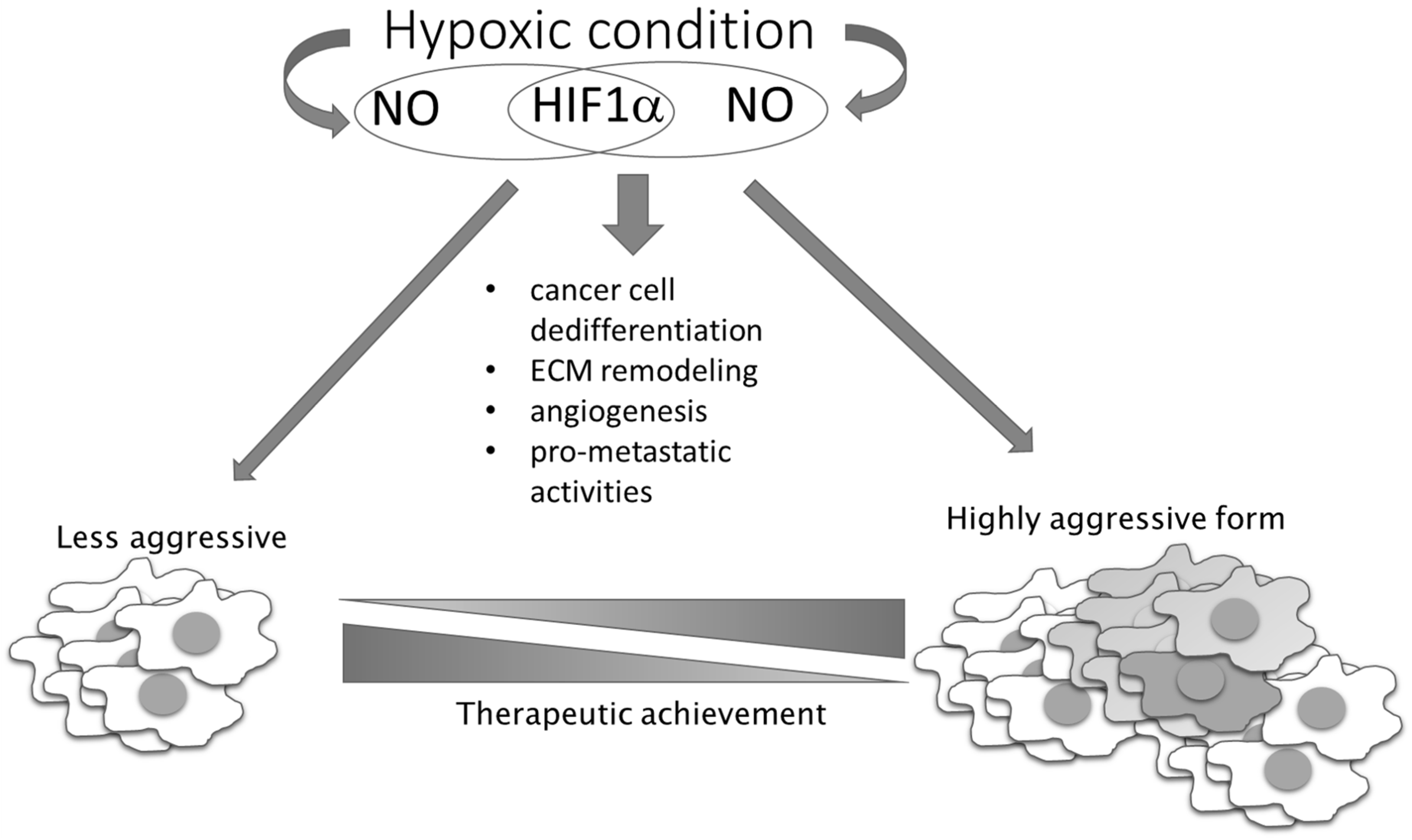 aggressive cancer phenotypes cancer colon blockage