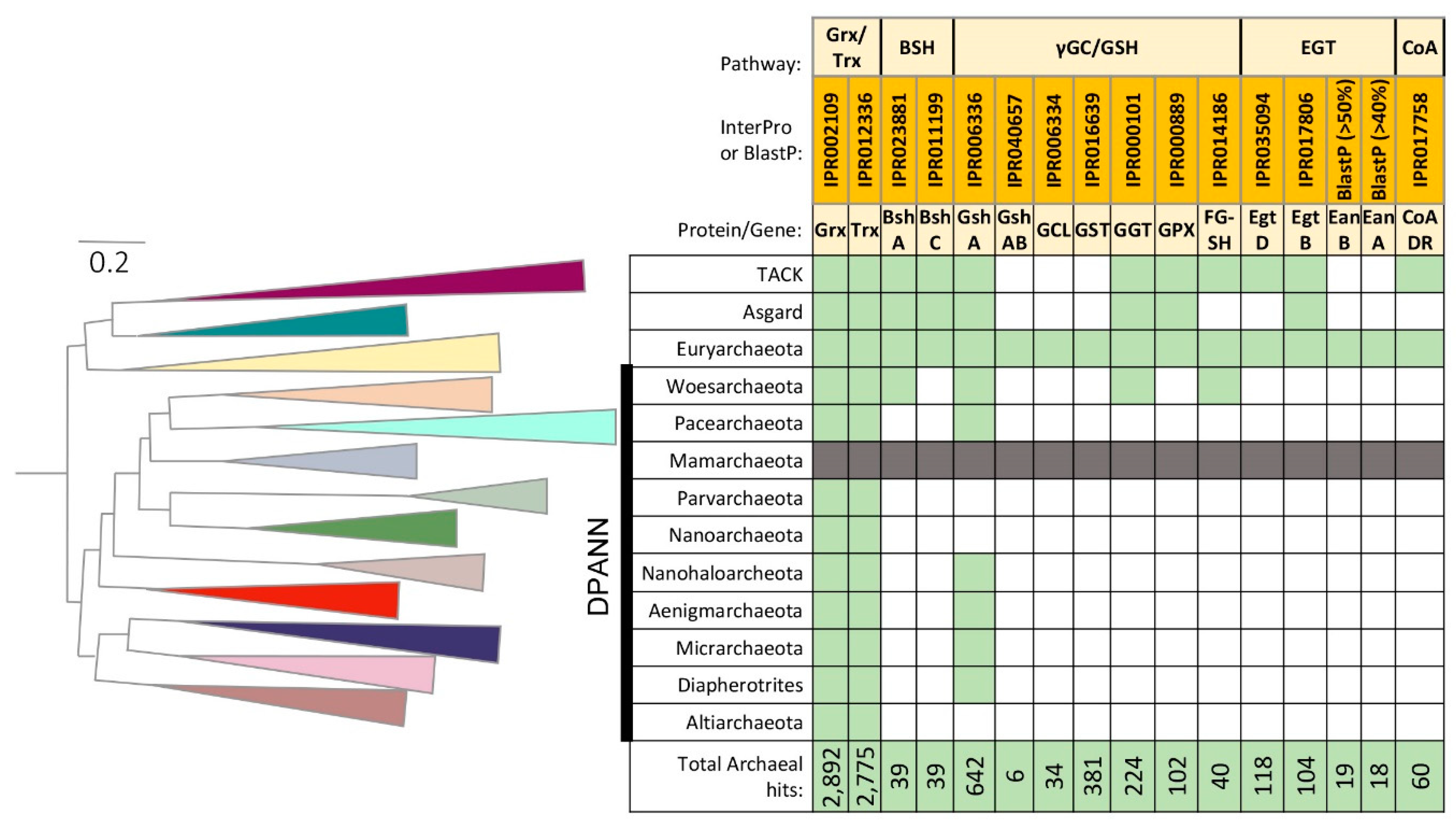 Antioxidants 09 00381 g002 Antioxidants 09 00381 g002