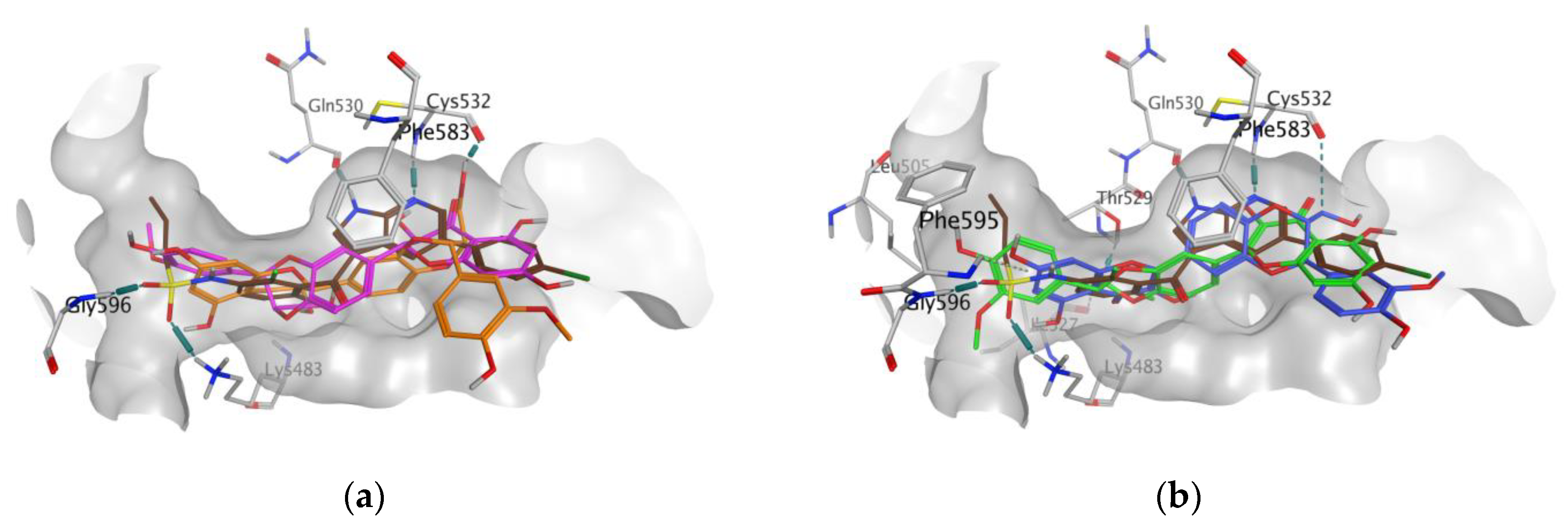 Antioxidants 09 00384 g003