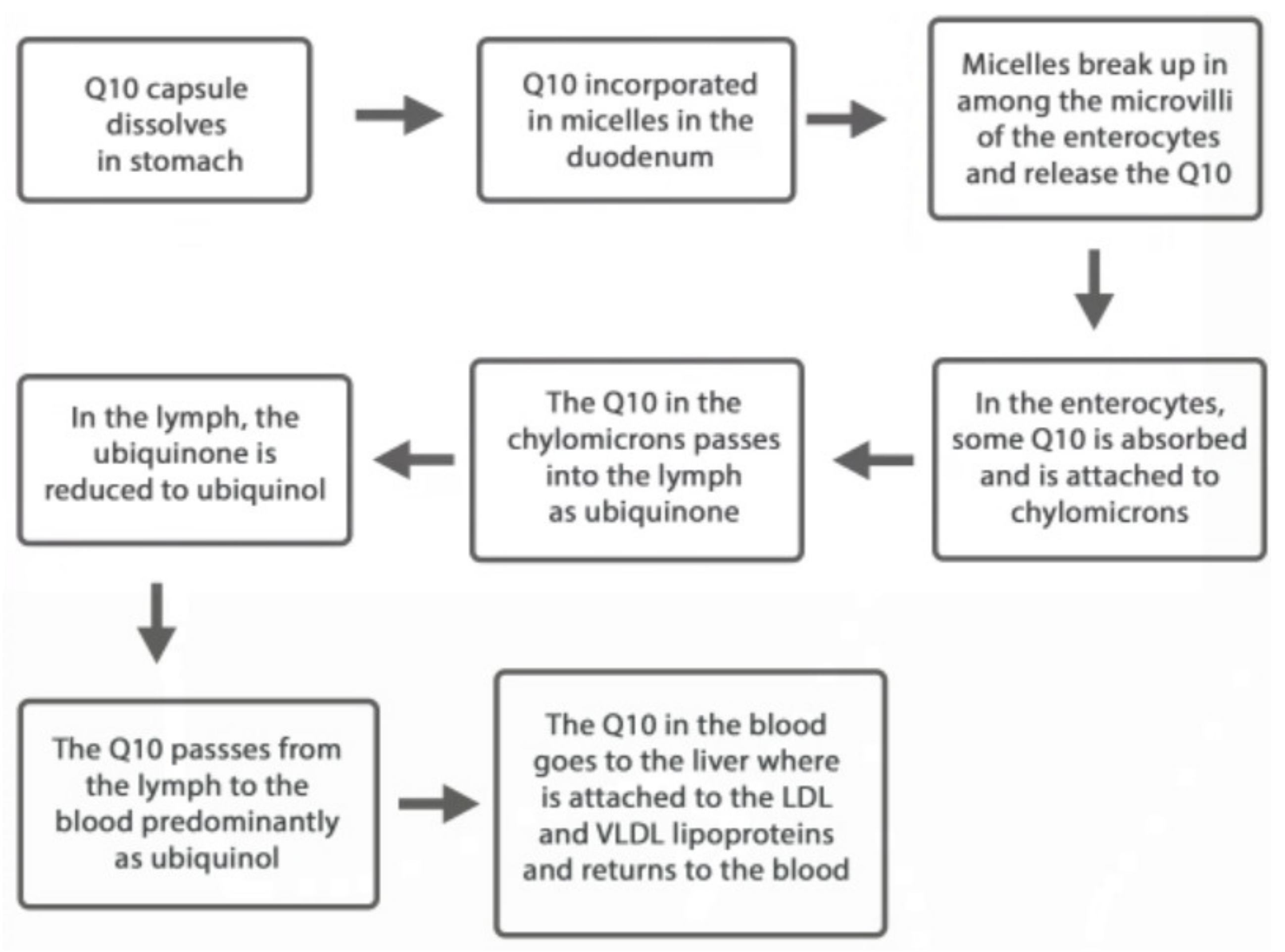 Antioxidants 09 00386 g001 Antioxidants 09 00386 g001