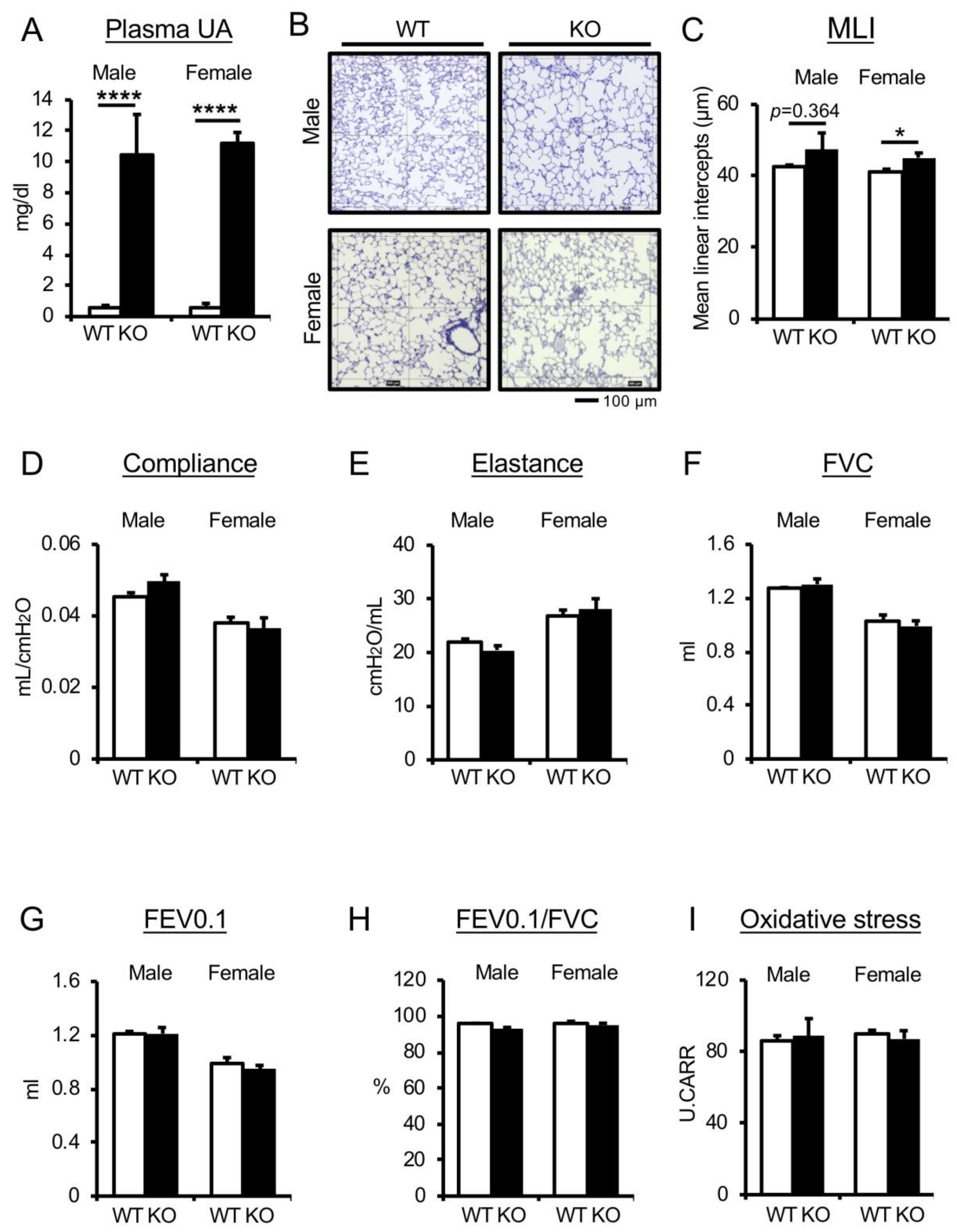 Antioxidants 09 00387 g001