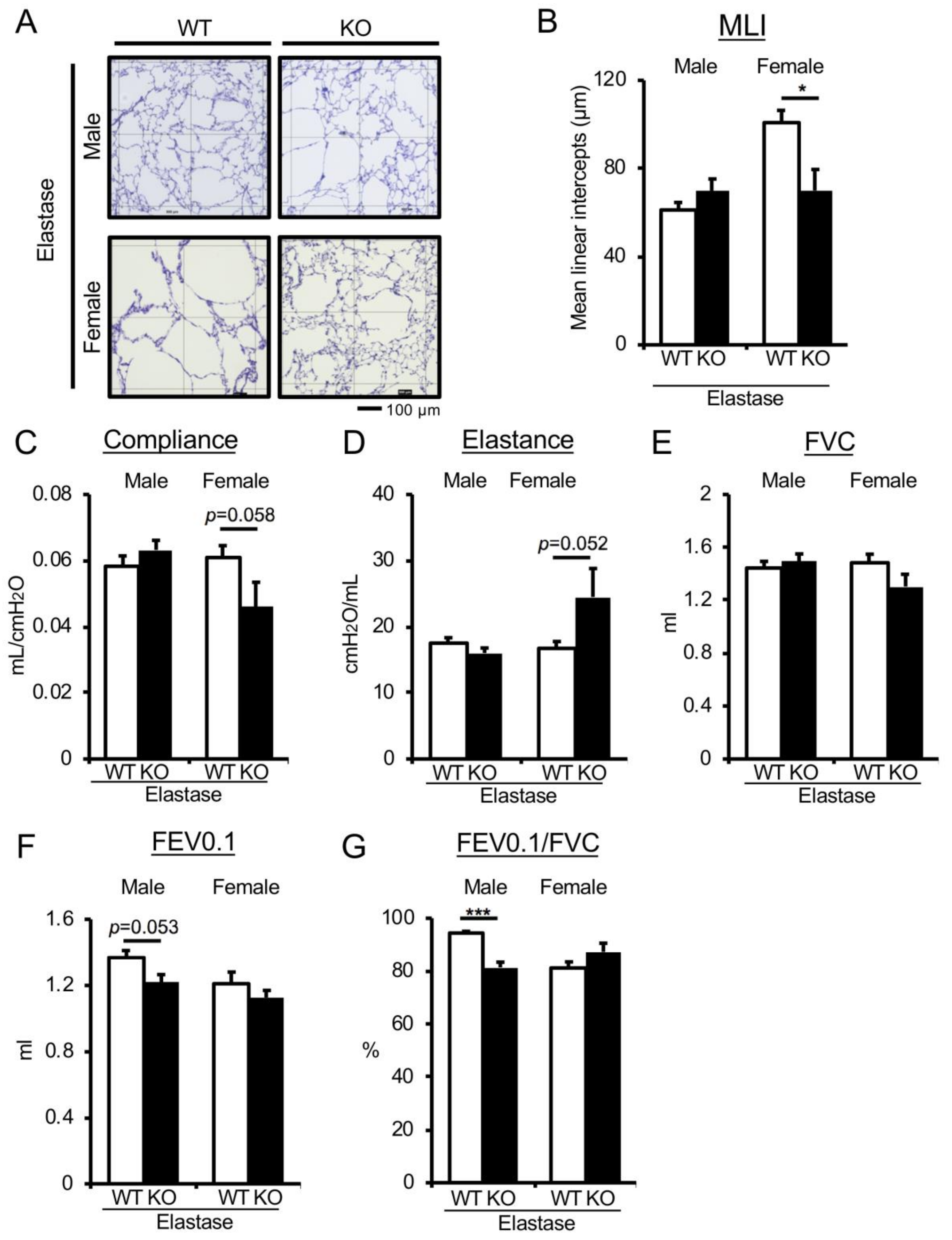 Antioxidants 09 00387 g002