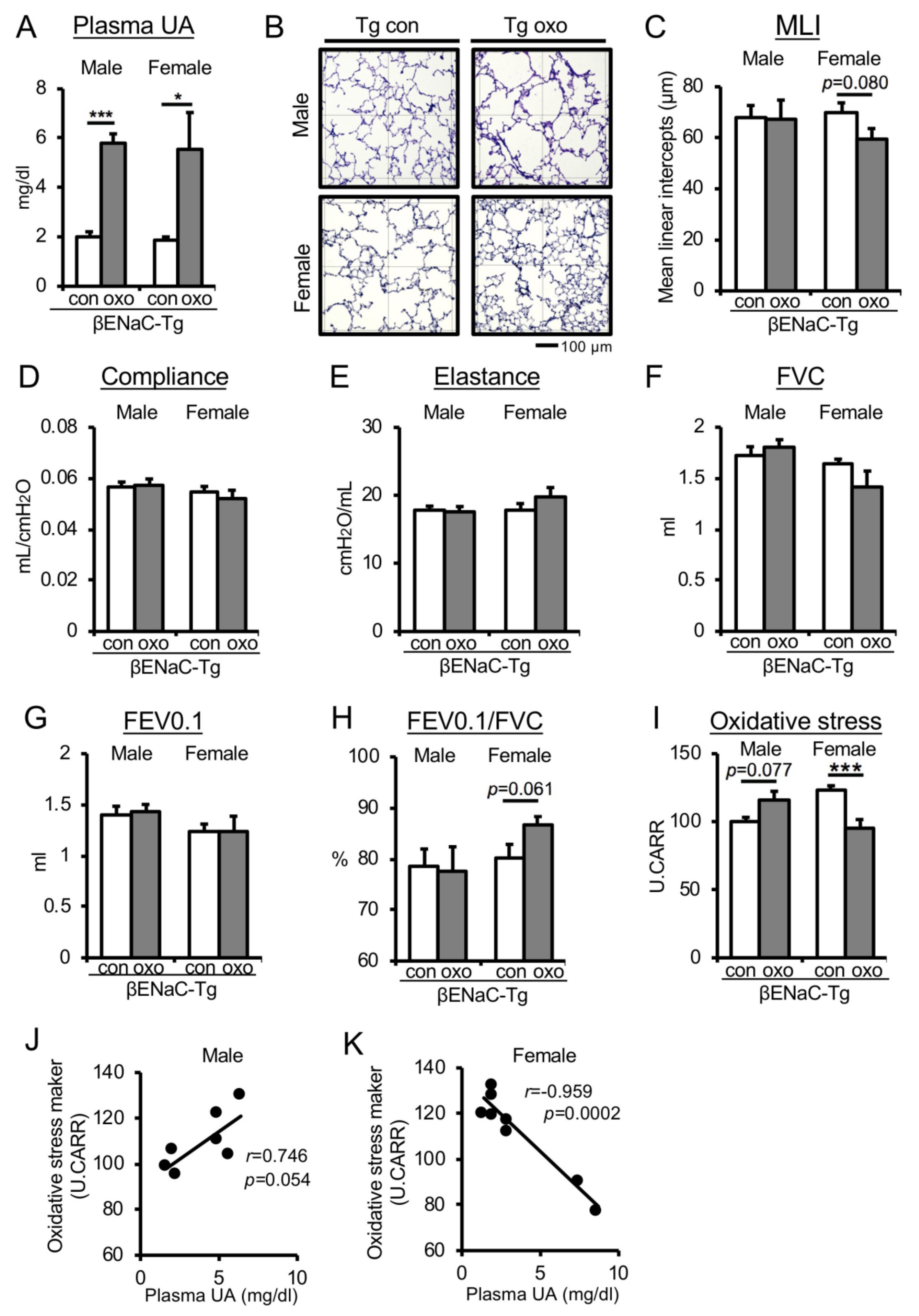 Antioxidants 09 00387 g003