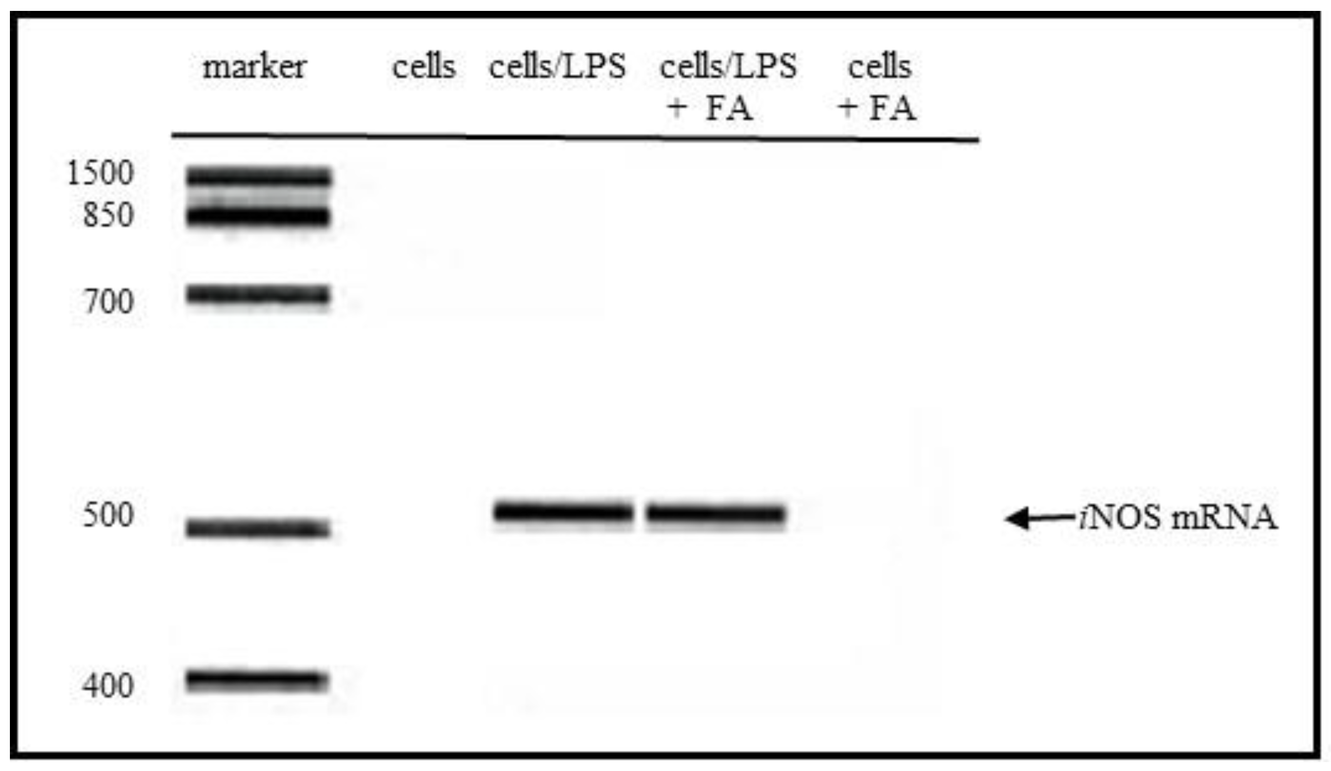 Antioxidants 09 00393 g003 Antioxidants 09 00393 g003