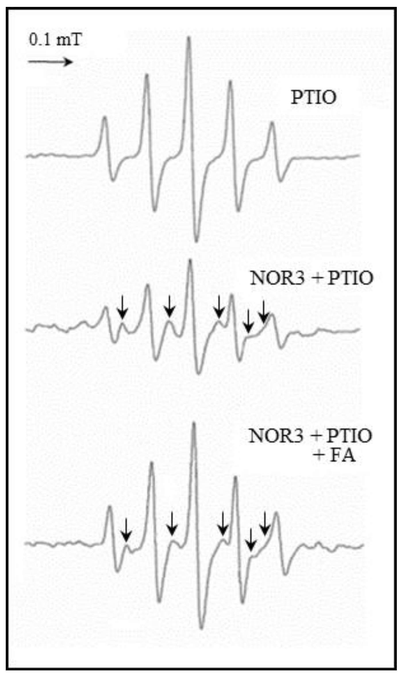Antioxidants 09 00393 g007 Antioxidants 09 00393 g007