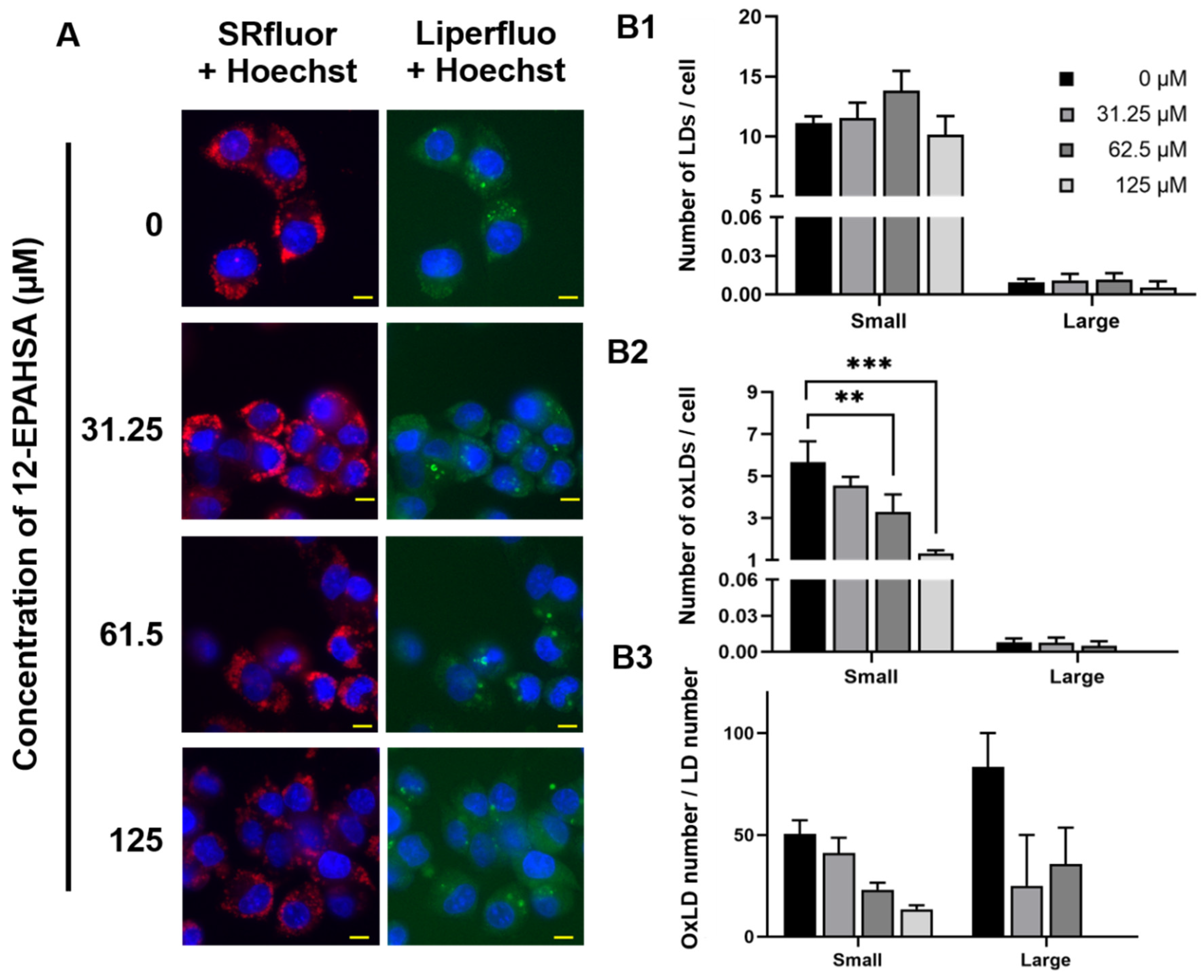 Antioxidants 09 00397 g002 Antioxidants 09 00397 g002