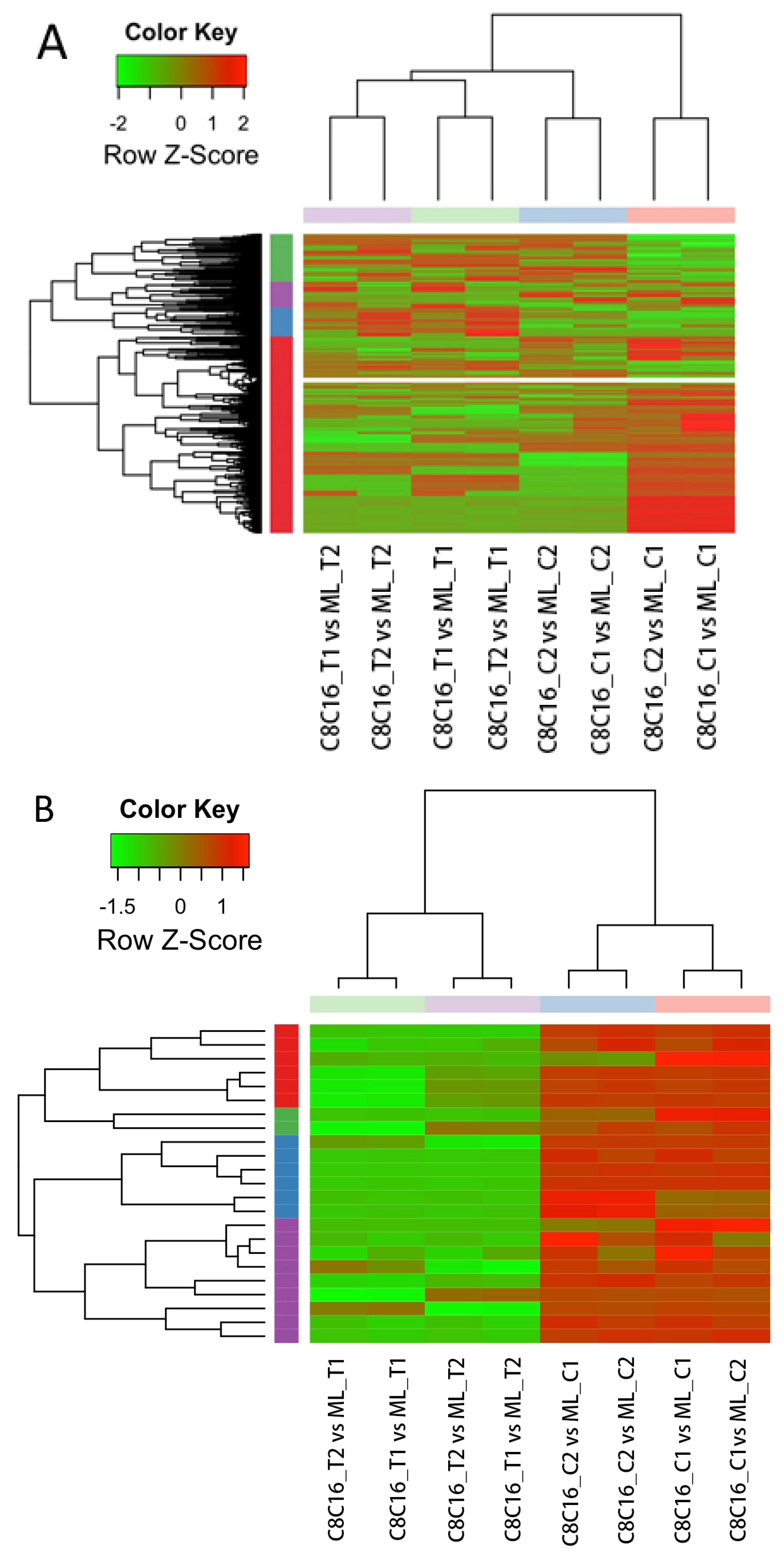 Antioxidants 09 00402 g004a