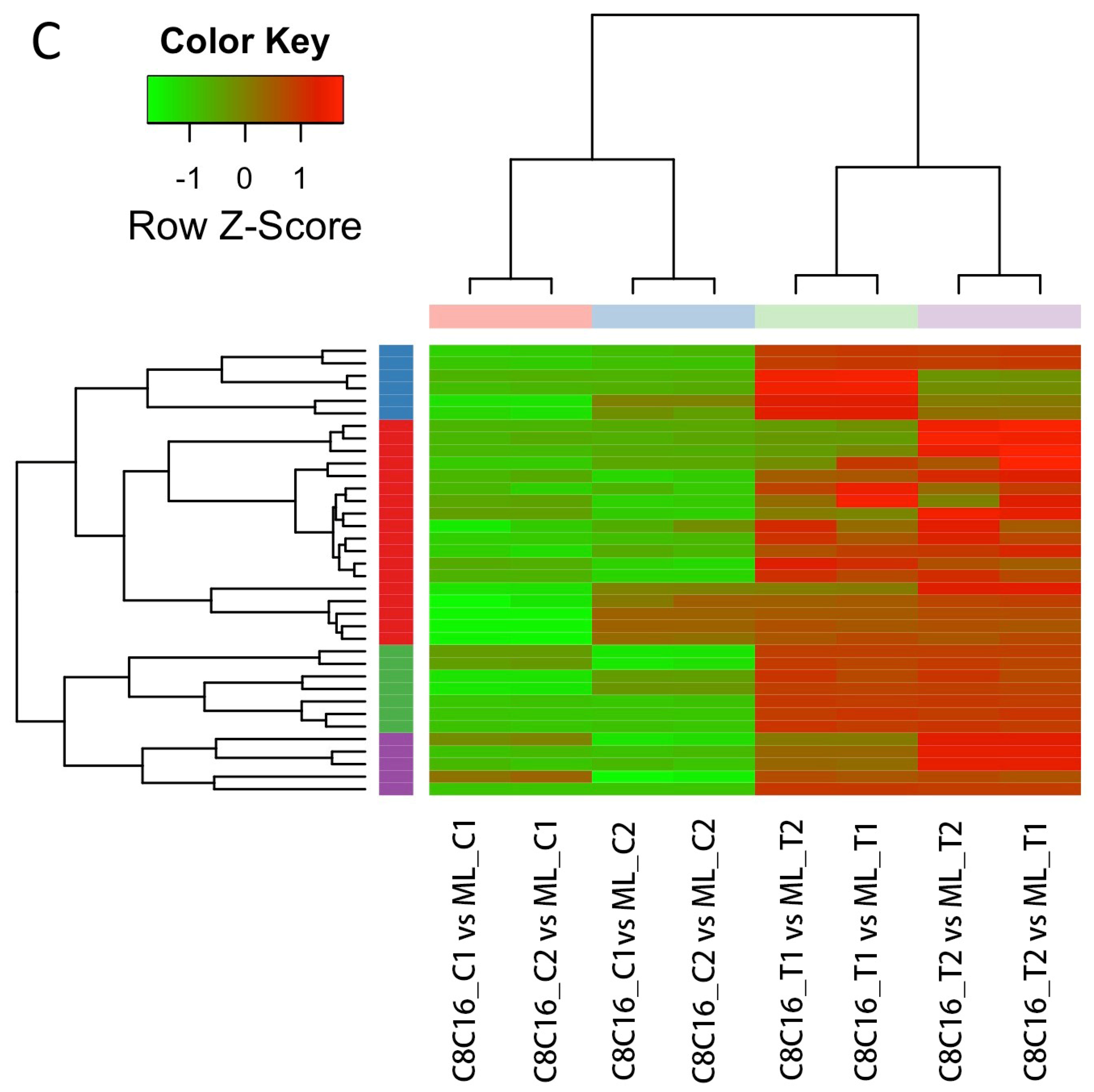 Antioxidants 09 00402 g004b