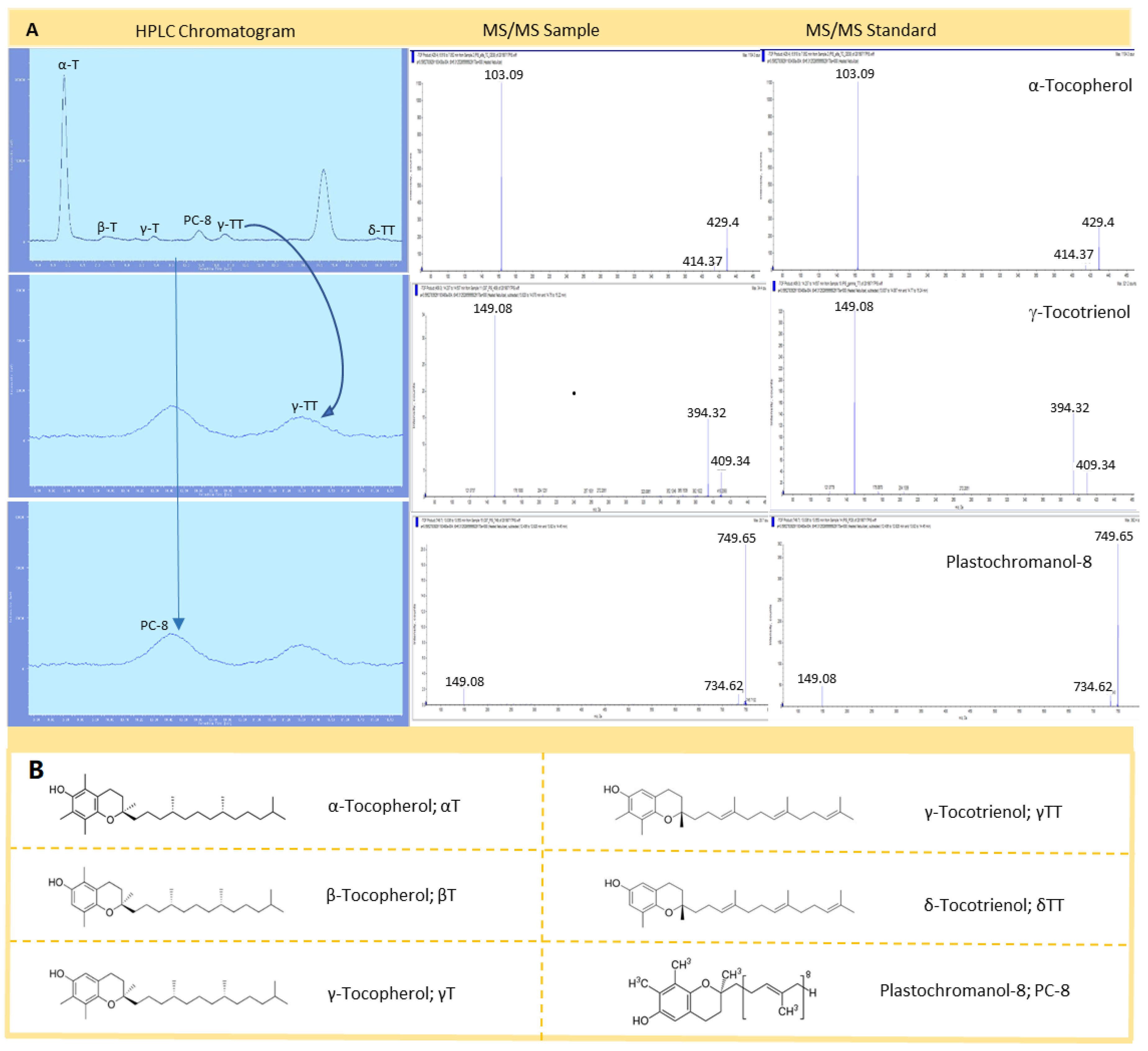 Antioxidants 09 00403 g001 Antioxidants 09 00403 g001
