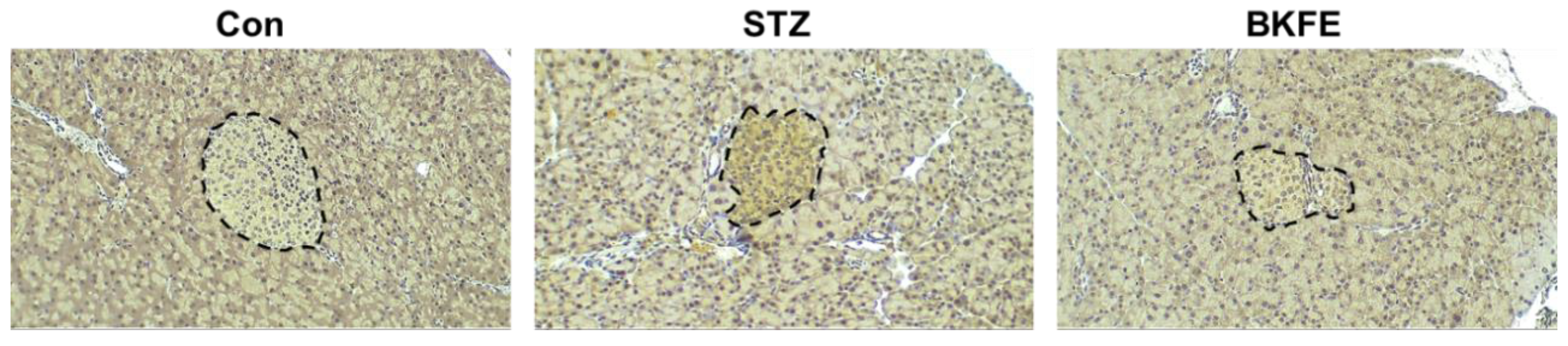 Antioxidants 09 00406 g003