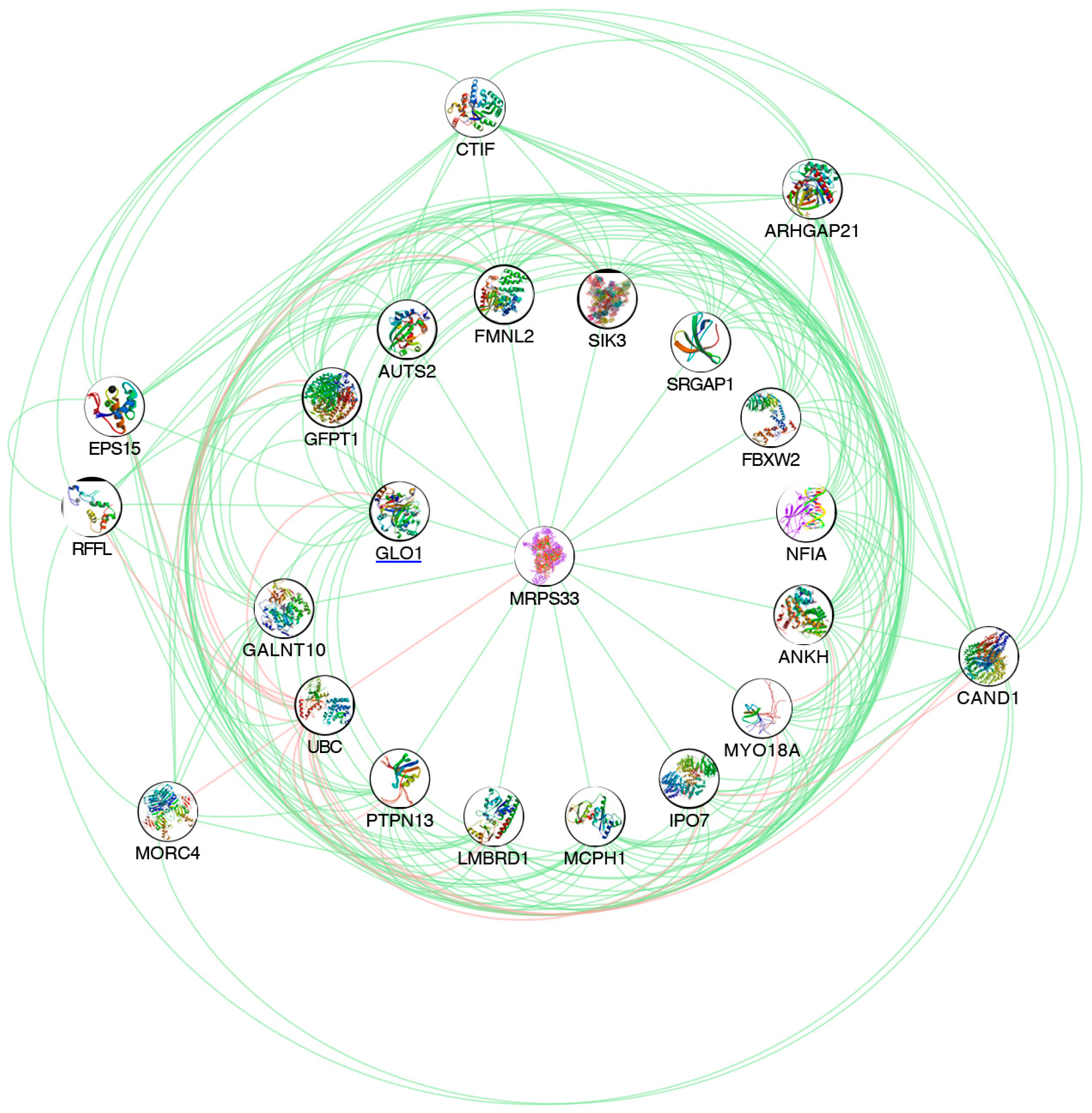 Antioxidants 09 00416 g002 Antioxidants 09 00416 g002