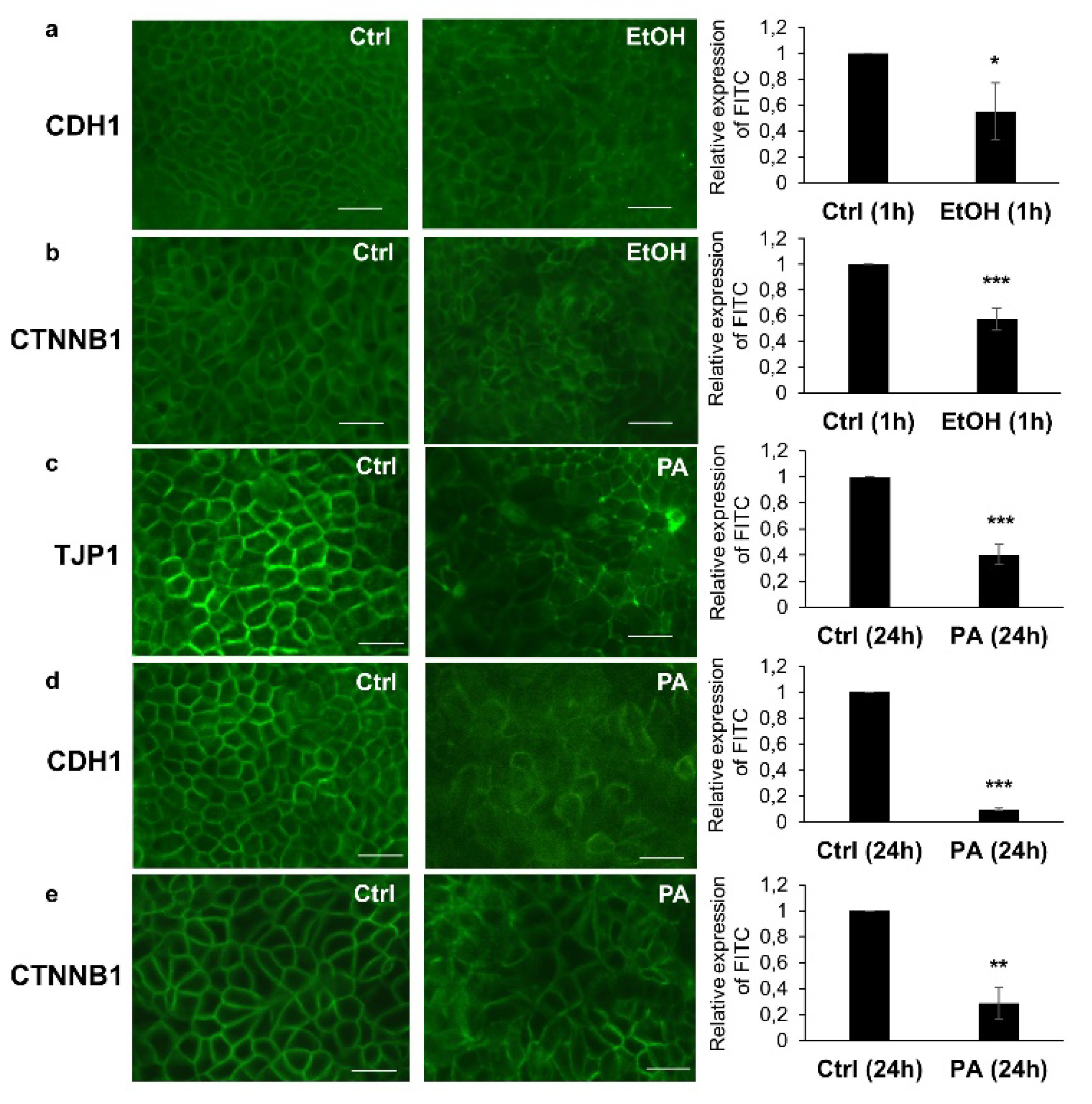 Antioxidants 09 00417 g005 Antioxidants 09 00417 g005
