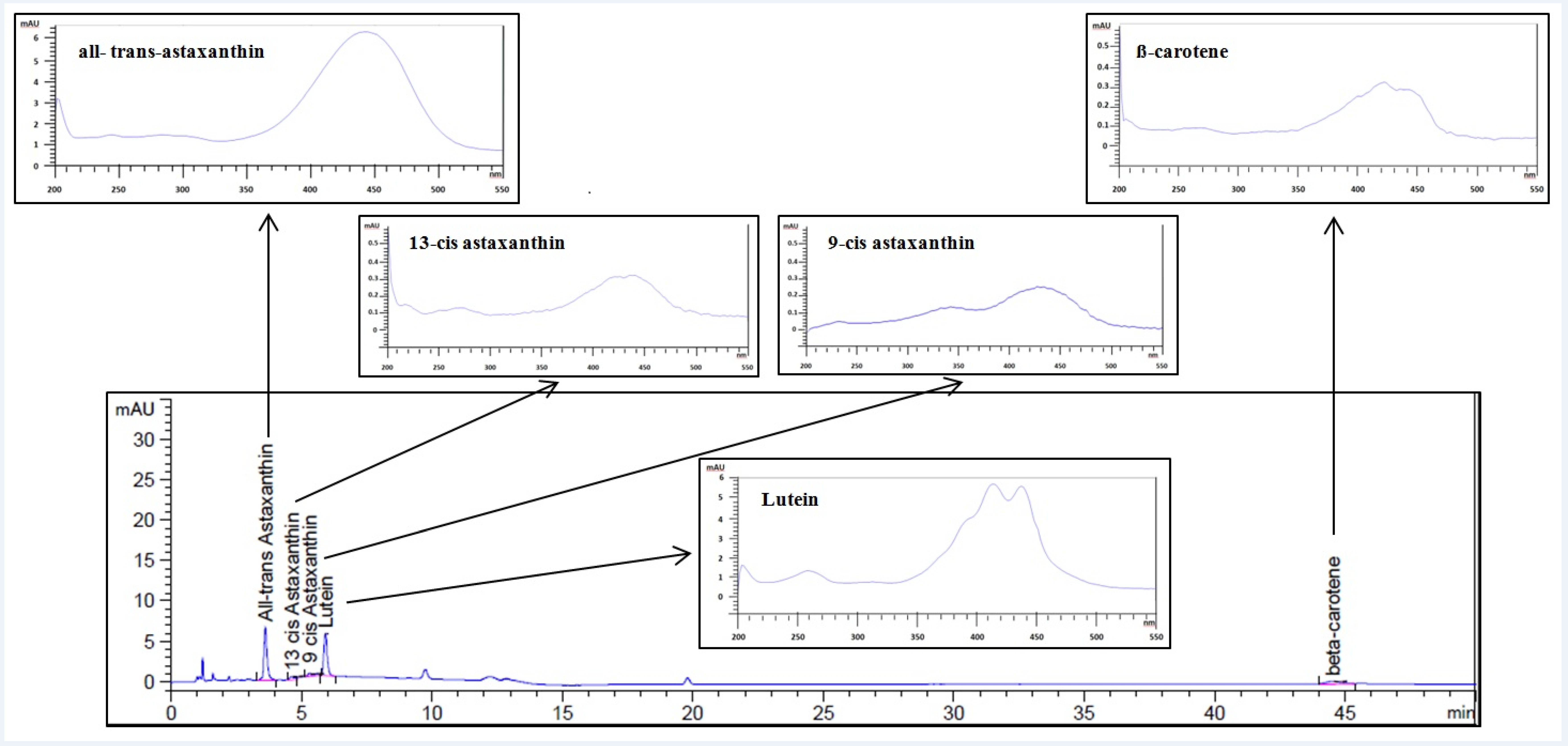 Antioxidants 09 00422 g005 Antioxidants 09 00422 g005