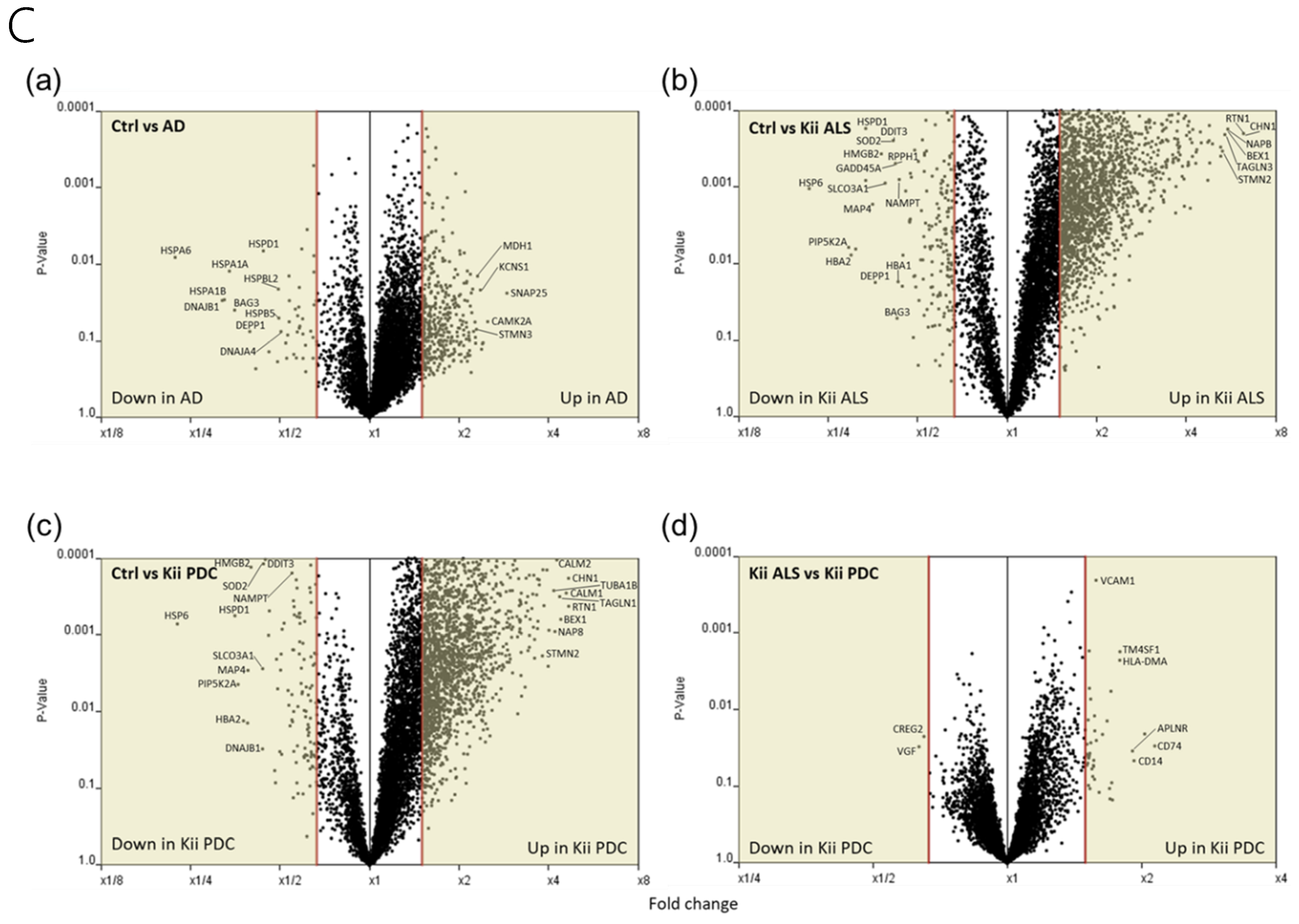 Antioxidants 09 00423 g001b Antioxidants 09 00423 g001b