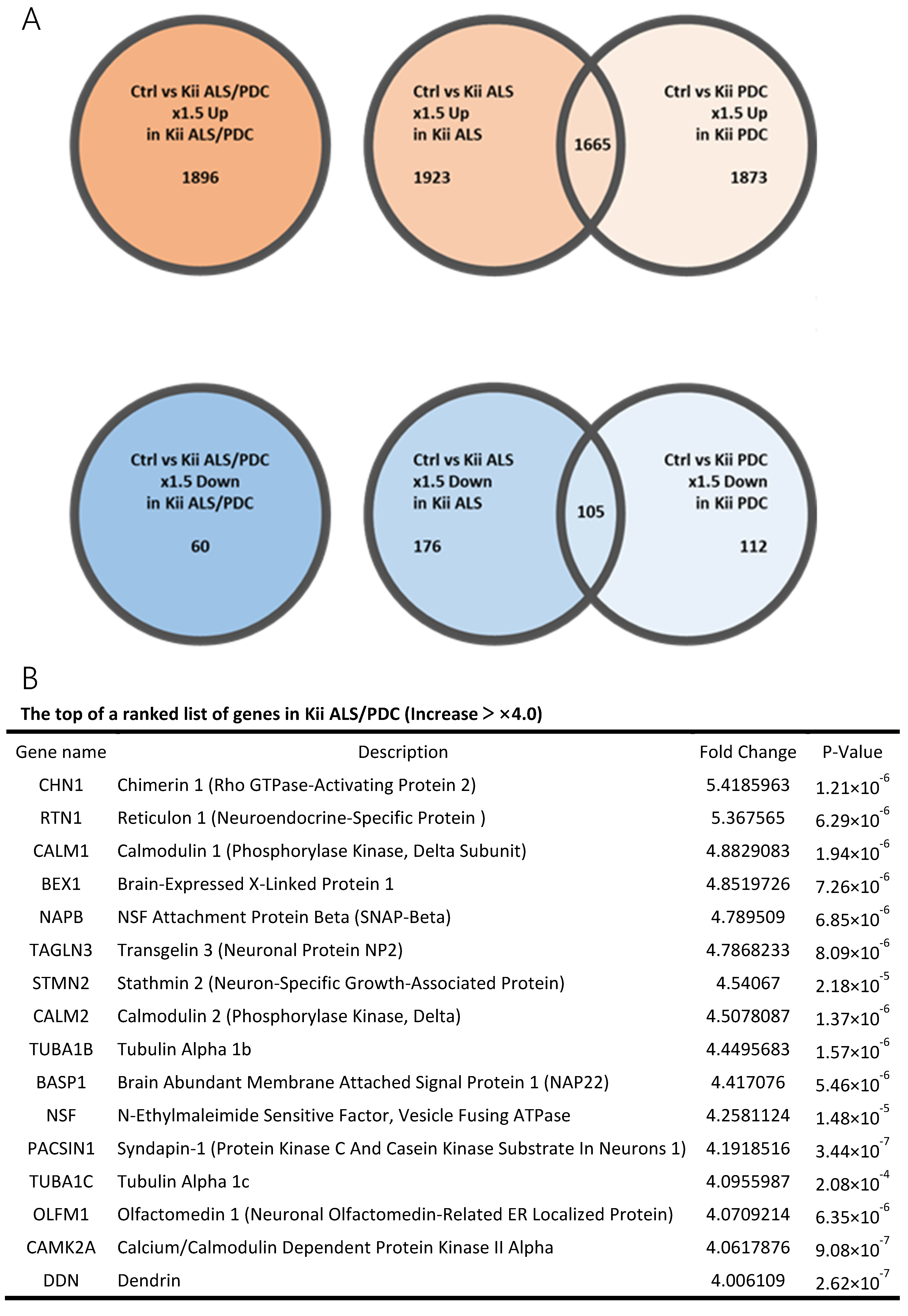 Antioxidants 09 00423 g002a Antioxidants 09 00423 g002a