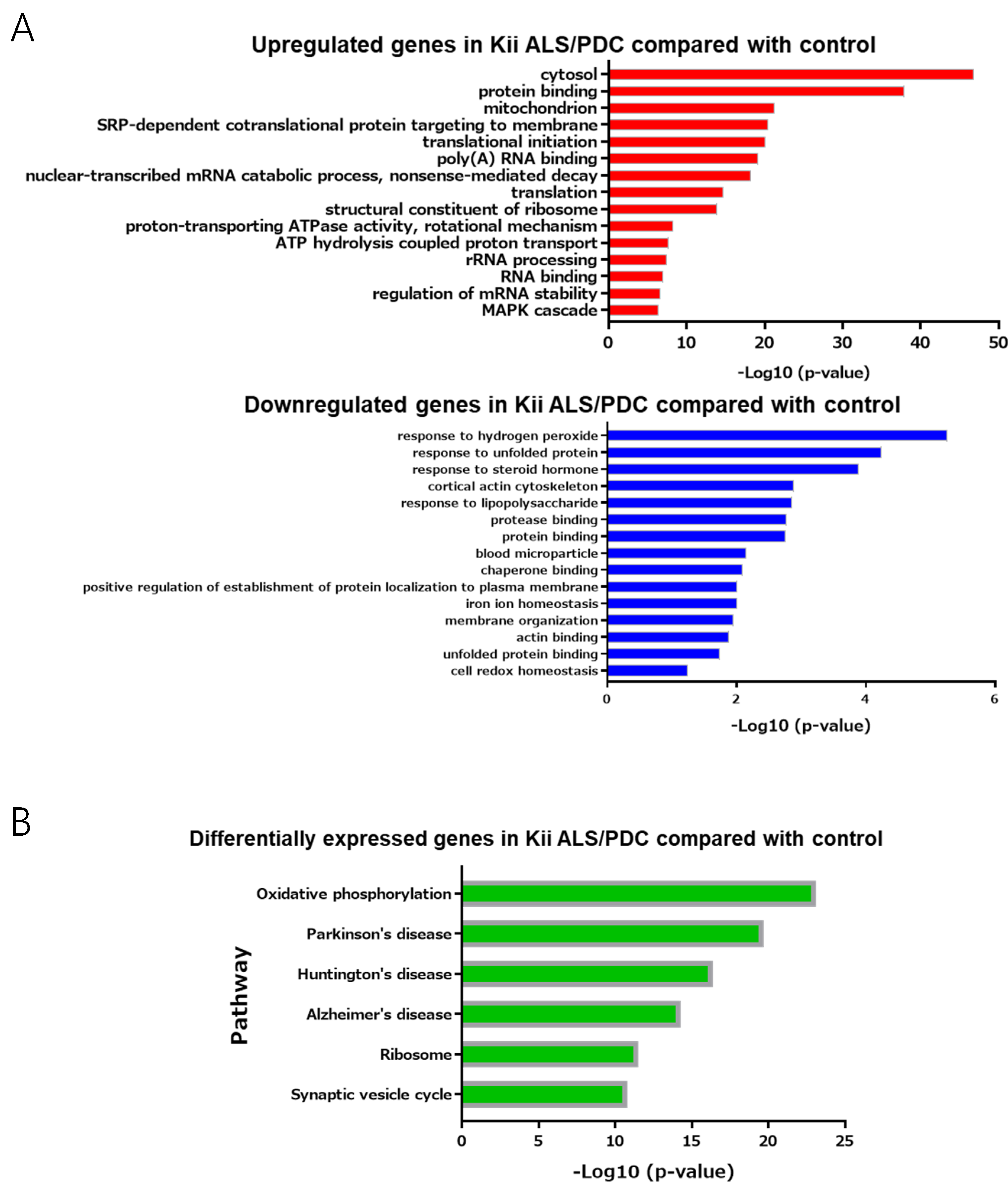 Antioxidants 09 00423 g003a Antioxidants 09 00423 g003a