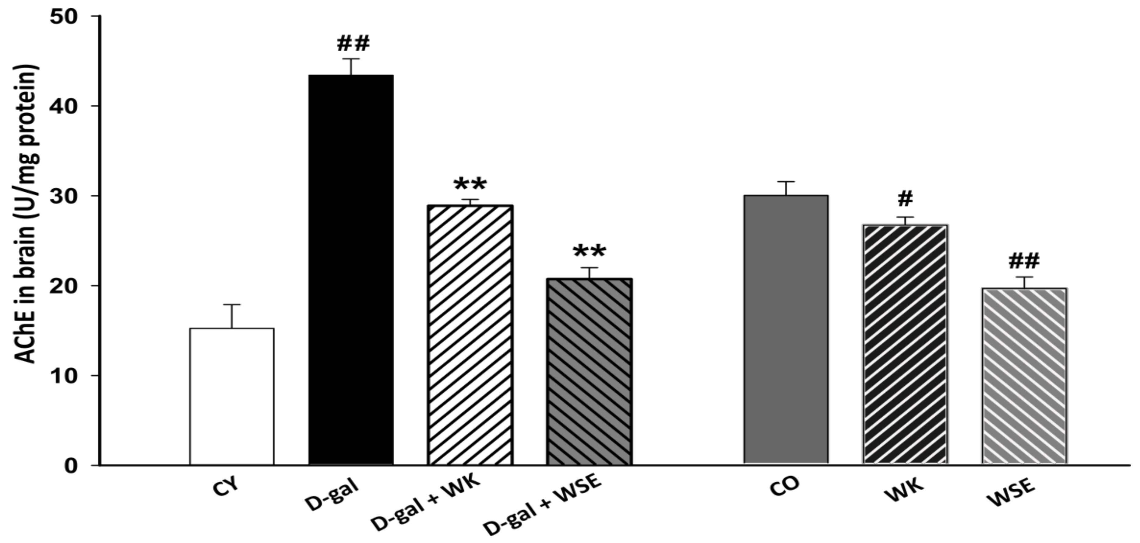 Antioxidants Free Full Text Antioxidant Effects Of Walnut Juglans Regia L Kernel And Walnut Septum Extract In A D Galactose Induced Aging Model And In Naturally Aged Rats Html Antioxidants Free Full Text Antioxidant Effects Of Walnut Juglans Regia L Kernel And Walnut Septum Extract In A D Galactose Induced Aging Model And In Naturally Aged Rats Html